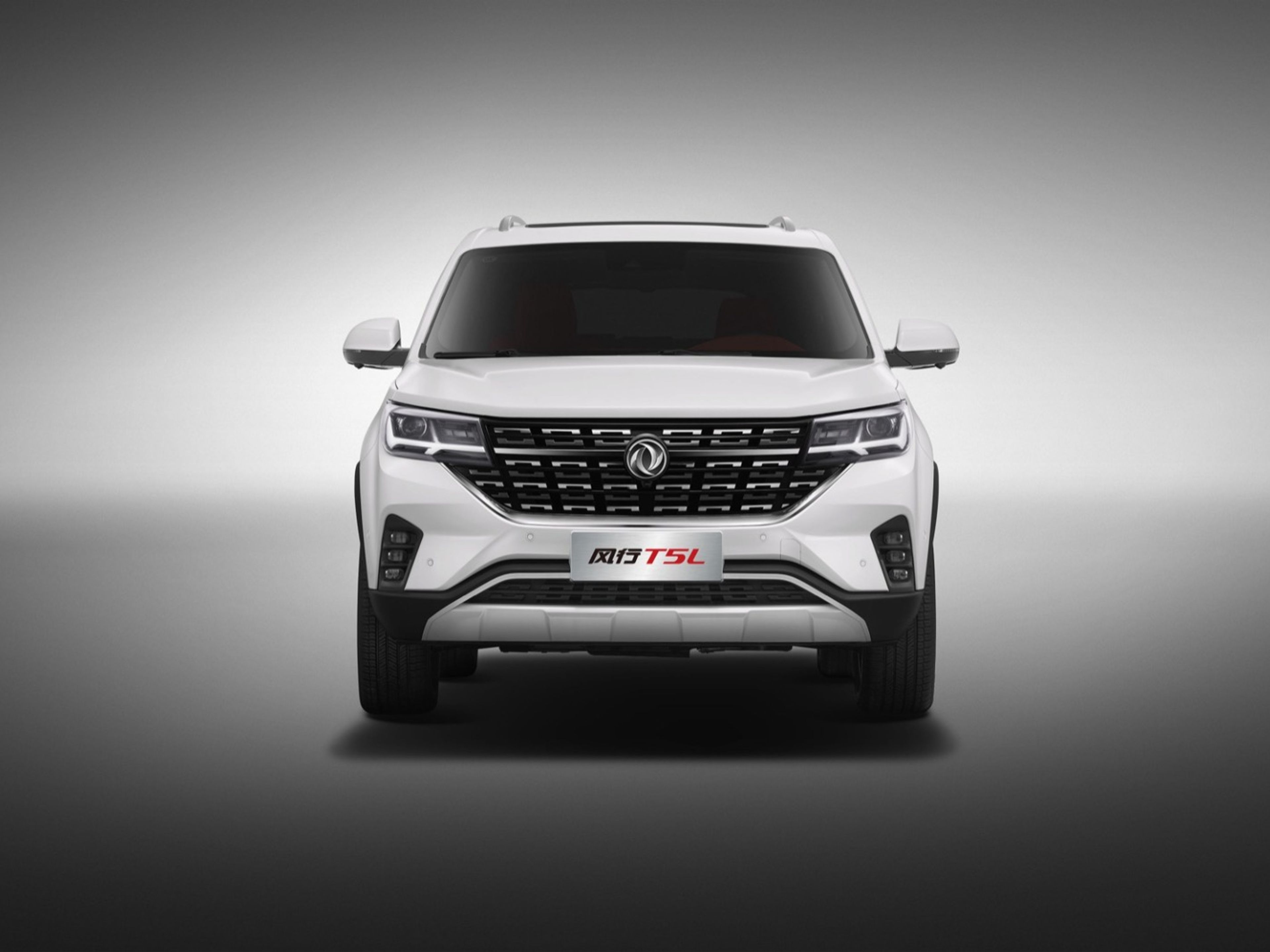 DONGFENG FORTHING T5L (OR - 001)