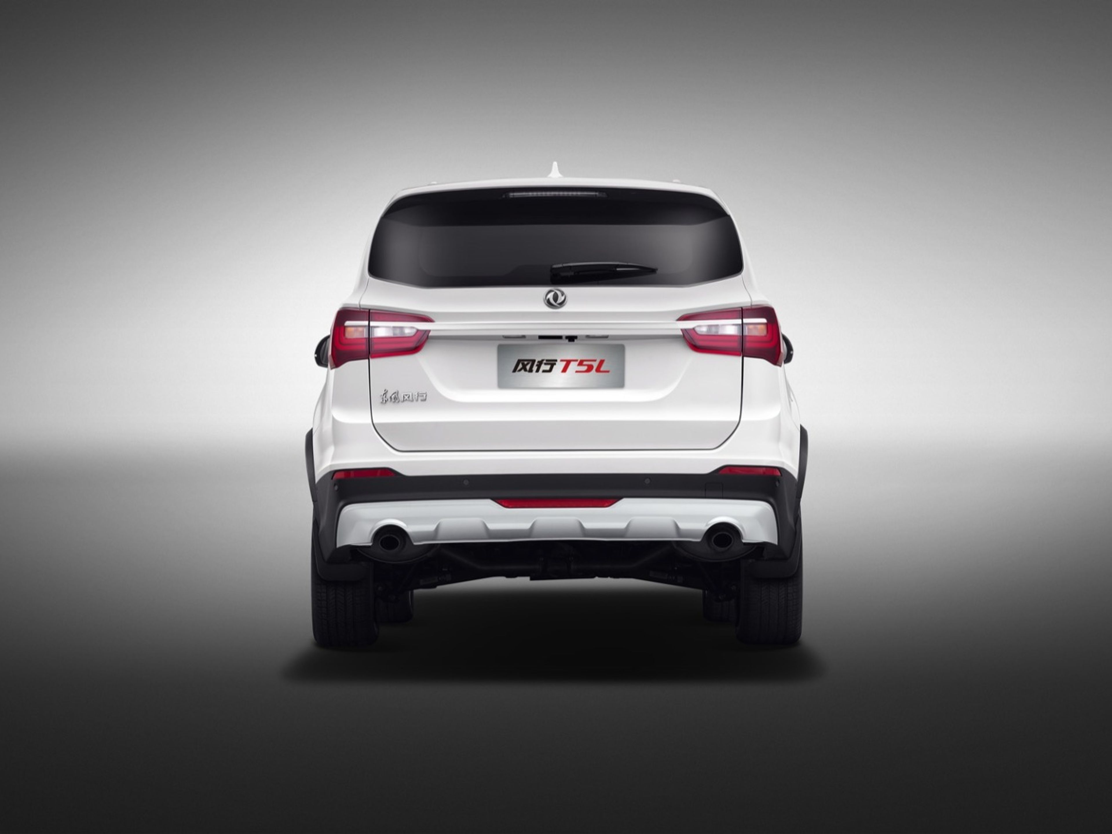 undefinedDONGFENG FORTHING T5L rear exterior view