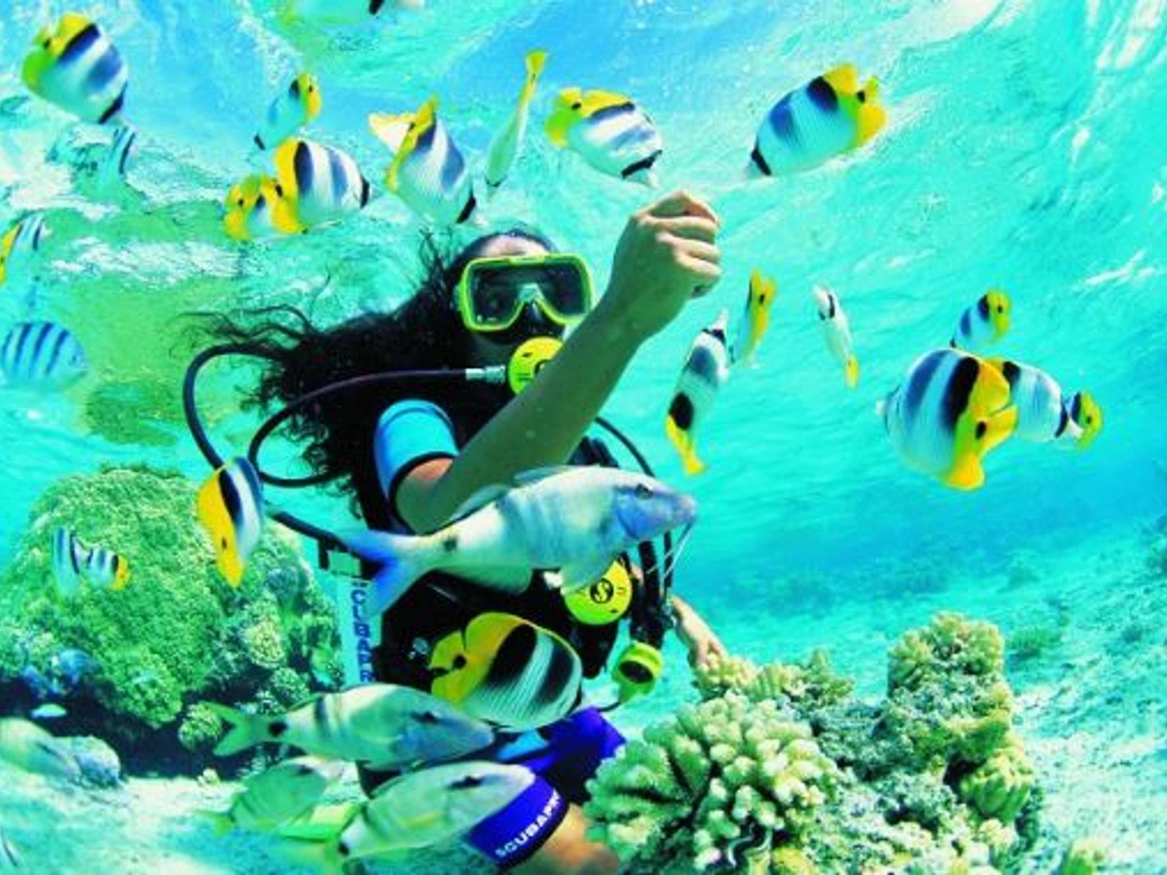 "EIN TAG AUF CAYO RICO" Tour. Snorkeling at the coral reef