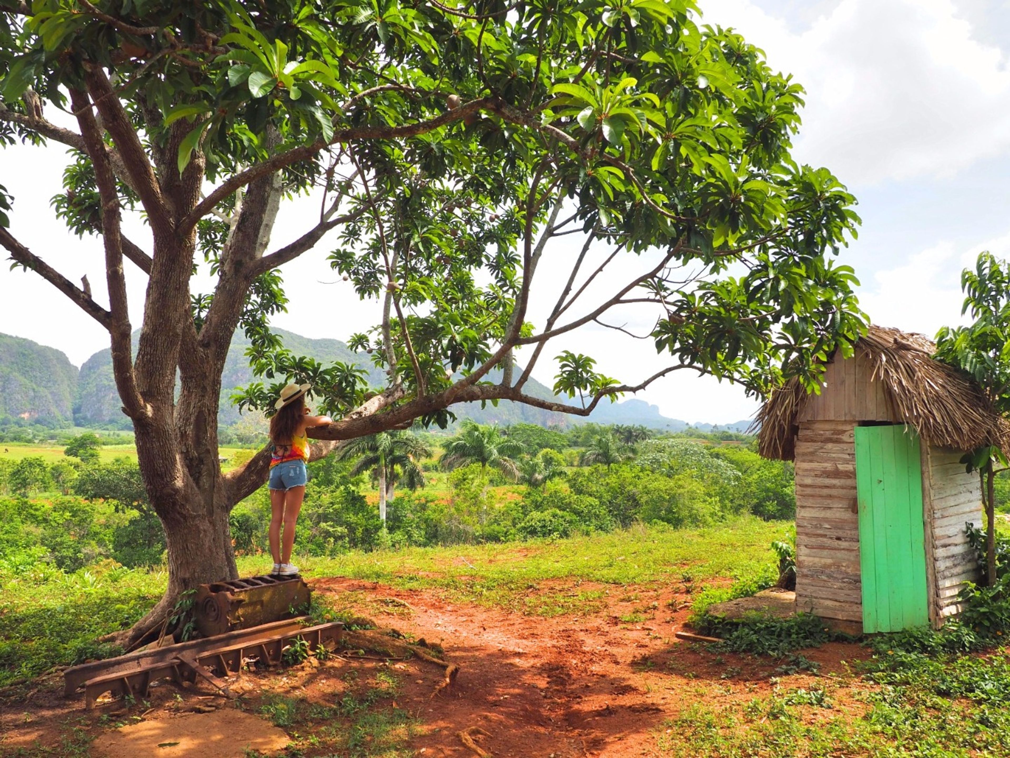 Tour "Viste panoramiche a Viñales". Viñales valley National Park, declared a Cultural Heritage Site by UNESCO, Pinar del Río