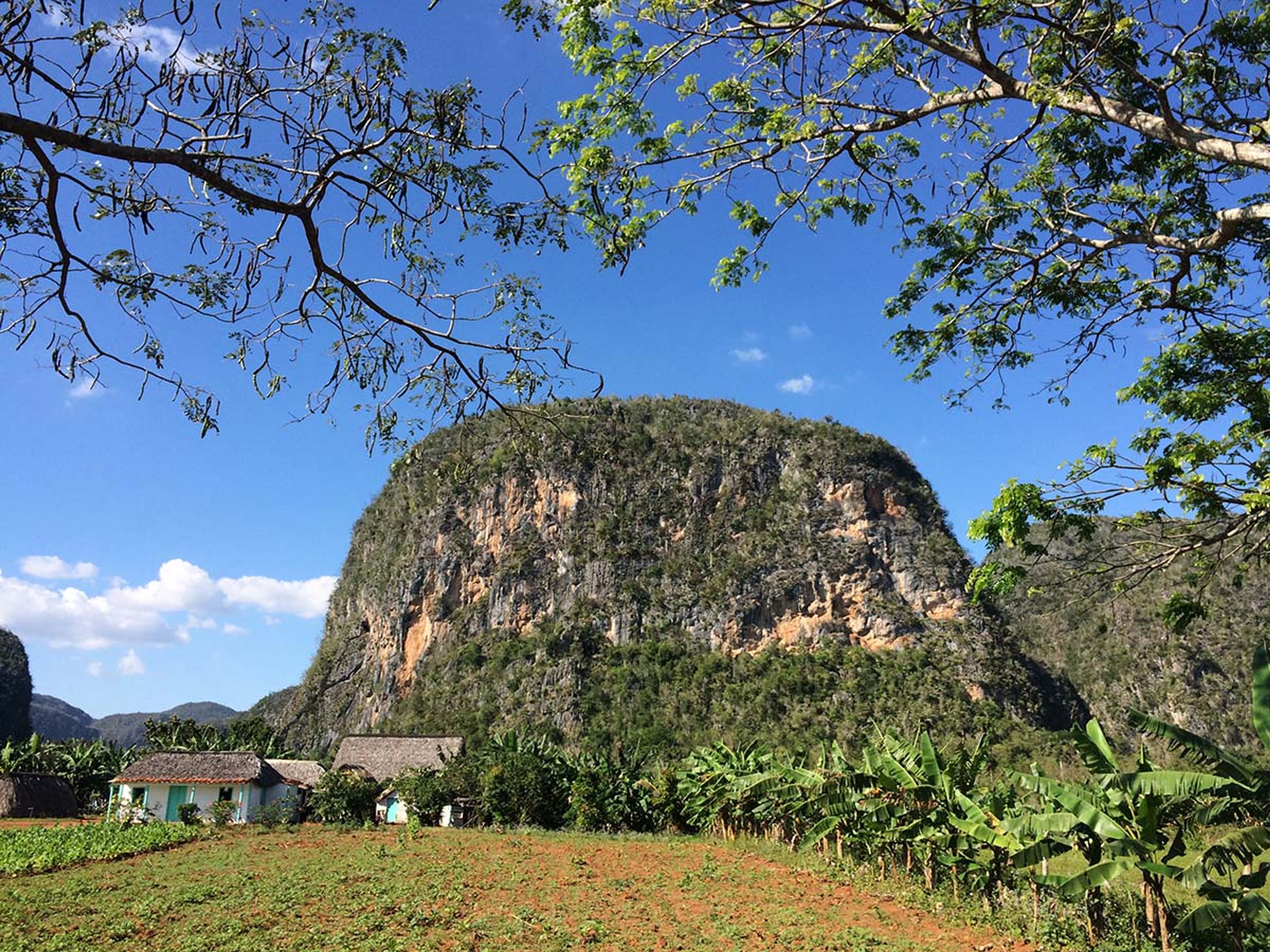 Tour "Viste panoramiche a Viñales". Viñales valley National Park, declared a Cultural Heritage Site by UNESCO, Pinar del Río