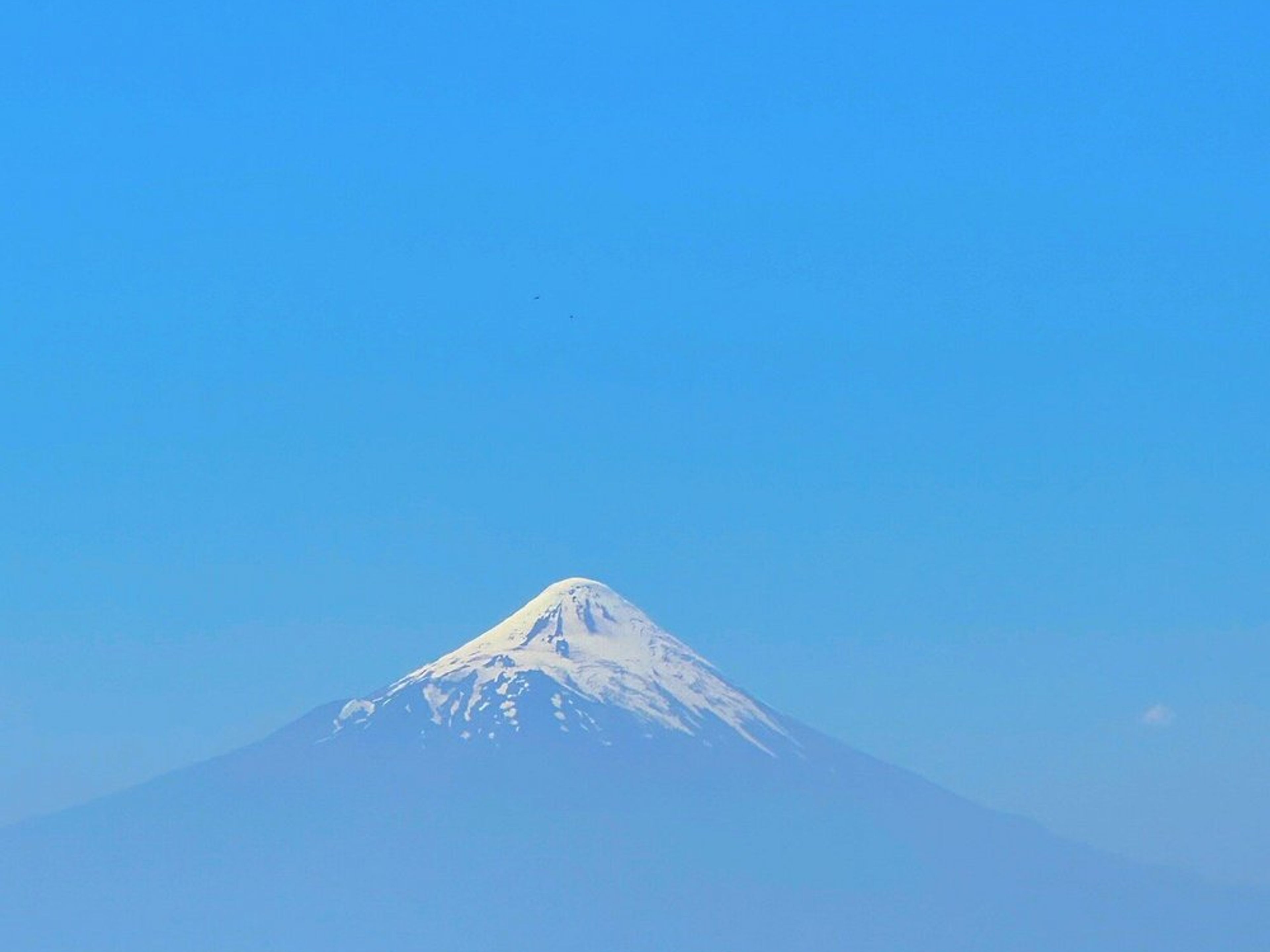 "VISIT TO LAKE LLANQUIHUE" TOUR. null