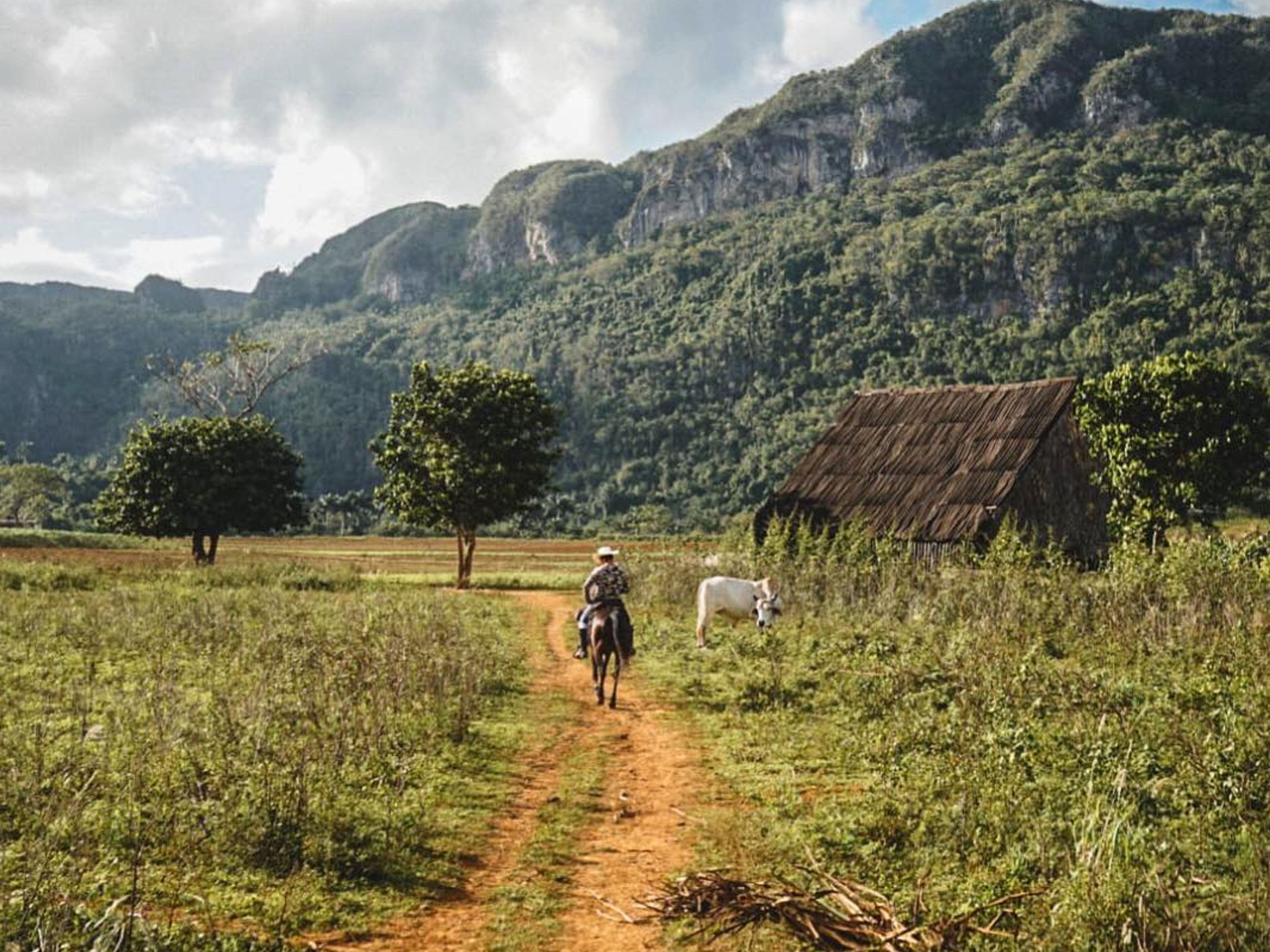 Tур "КОННЫЙ ТУР ПО ДОЛИНЕ ВИНЬЯЛЕС". Horseback Riding through the Viñales Valley Natural Park, Viñales, Pinar del Río, Cuba.