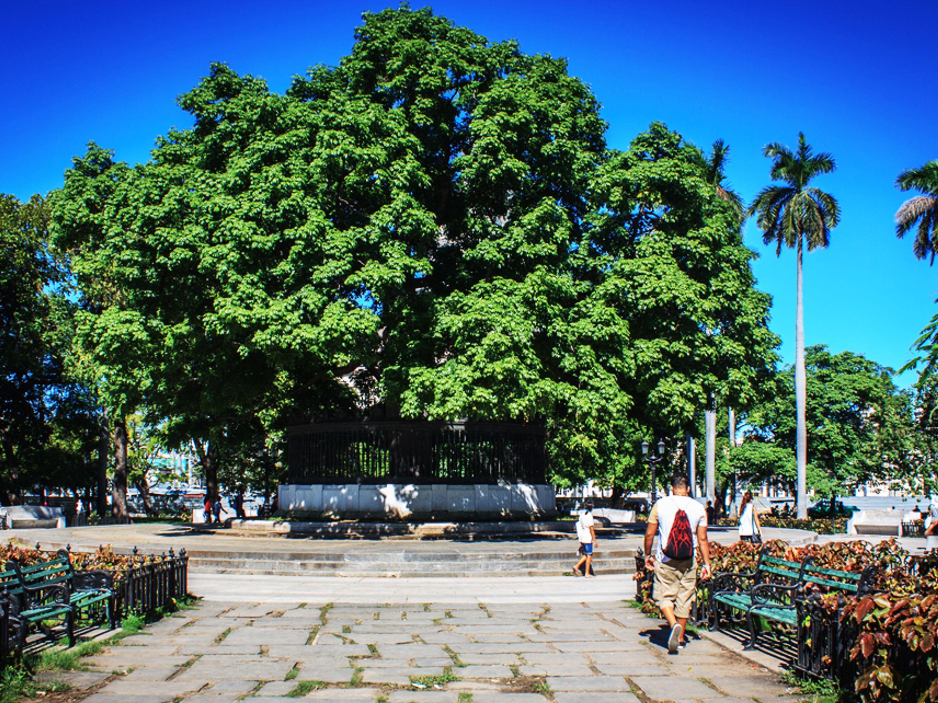 "Inner Havana, After the Martí´s stairsways" Tour. Park of the Fraternity, Old Havana, Cuba. "Inner Havana, After the Martí´s stairsways" Tour