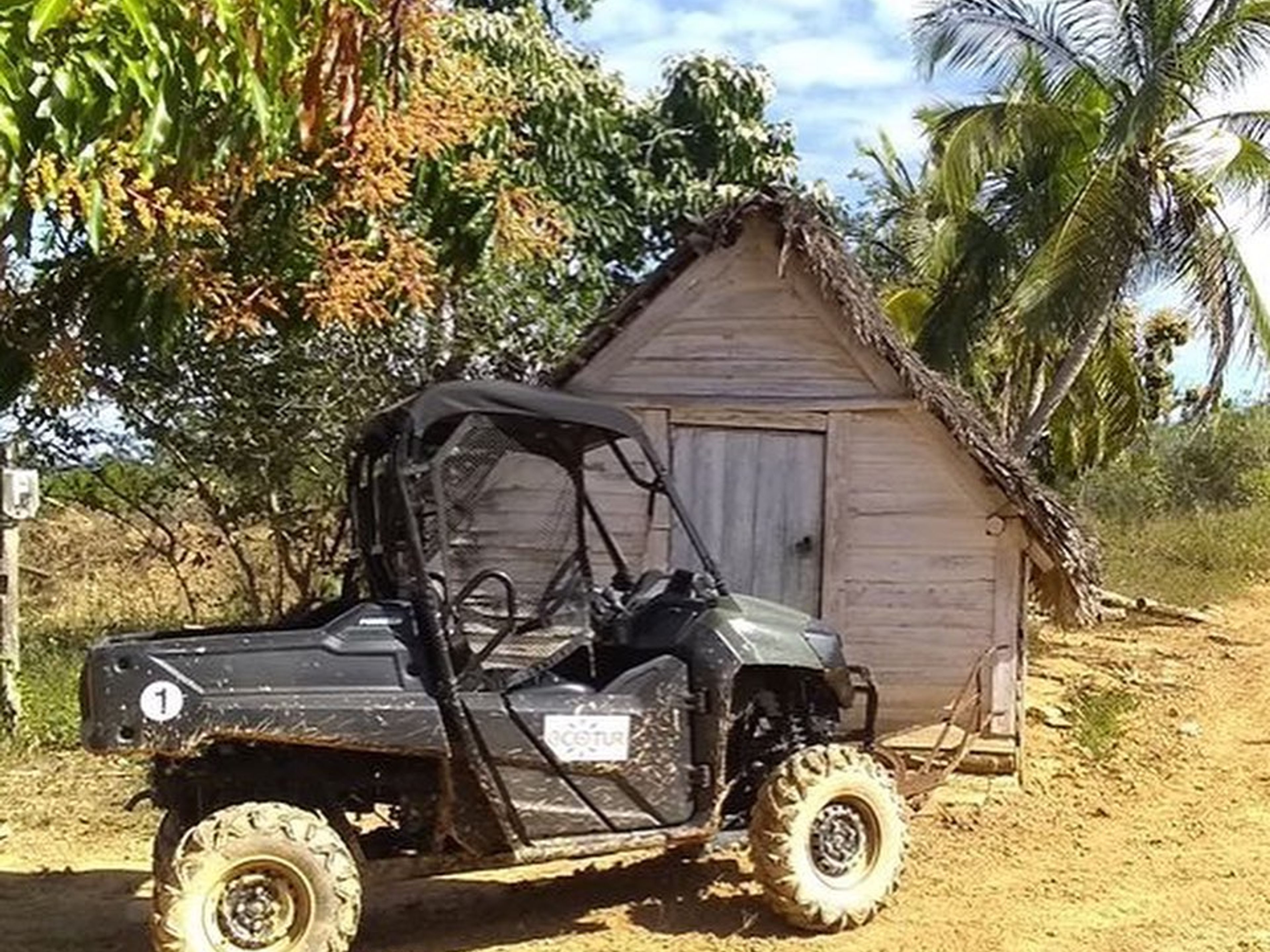 “BUGGY TOURS: VISIT TO THE JUTIAS VALLEY” Tour. “BUGGY TOURS: VISIT TO THE JUTIAS VALLEY” Tour, Viñales Valley, Pinar del Río, Cuba.
