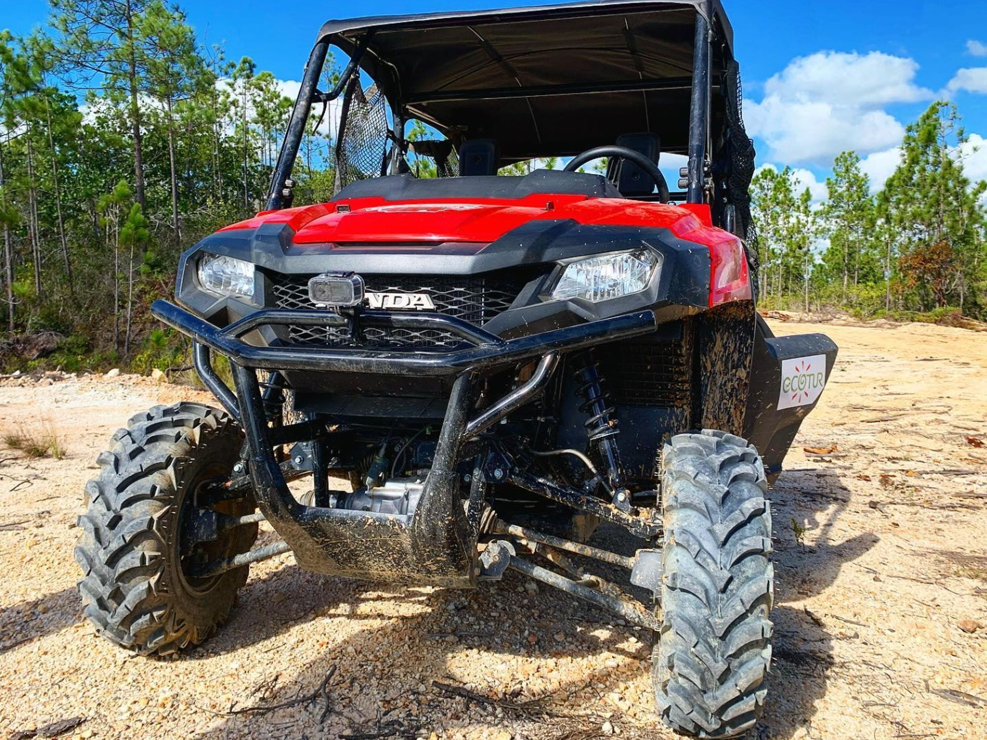 Excursão “PASSEIOS DE BUGGY: VISITA AO VALE DO JUTIAS”. “BUGGY TOURS: VISIT TO THE JUTIAS VALLEY” Tour, Viñales Valley, Pinar del Río, Cuba.