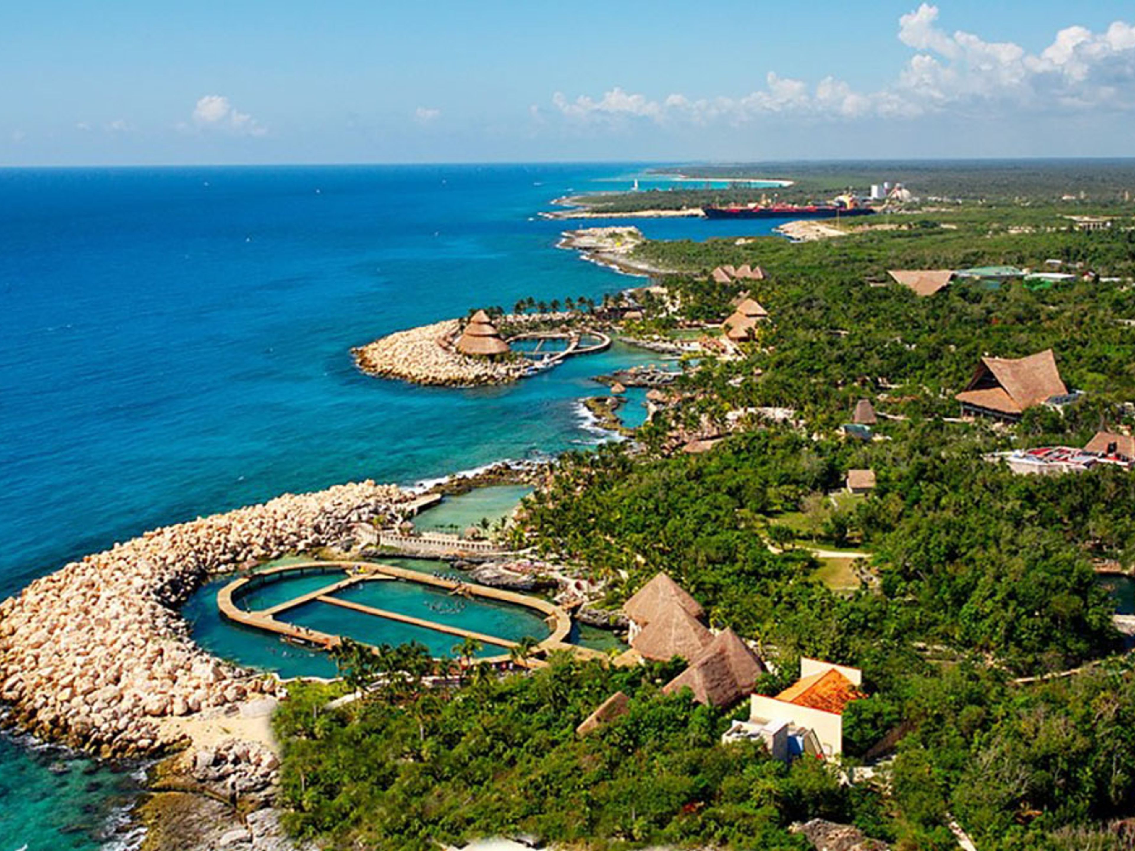 Excursão "Primax Golfinhos em Riviera Maya". "Primax Dolphin in Riviera Maya" Tour