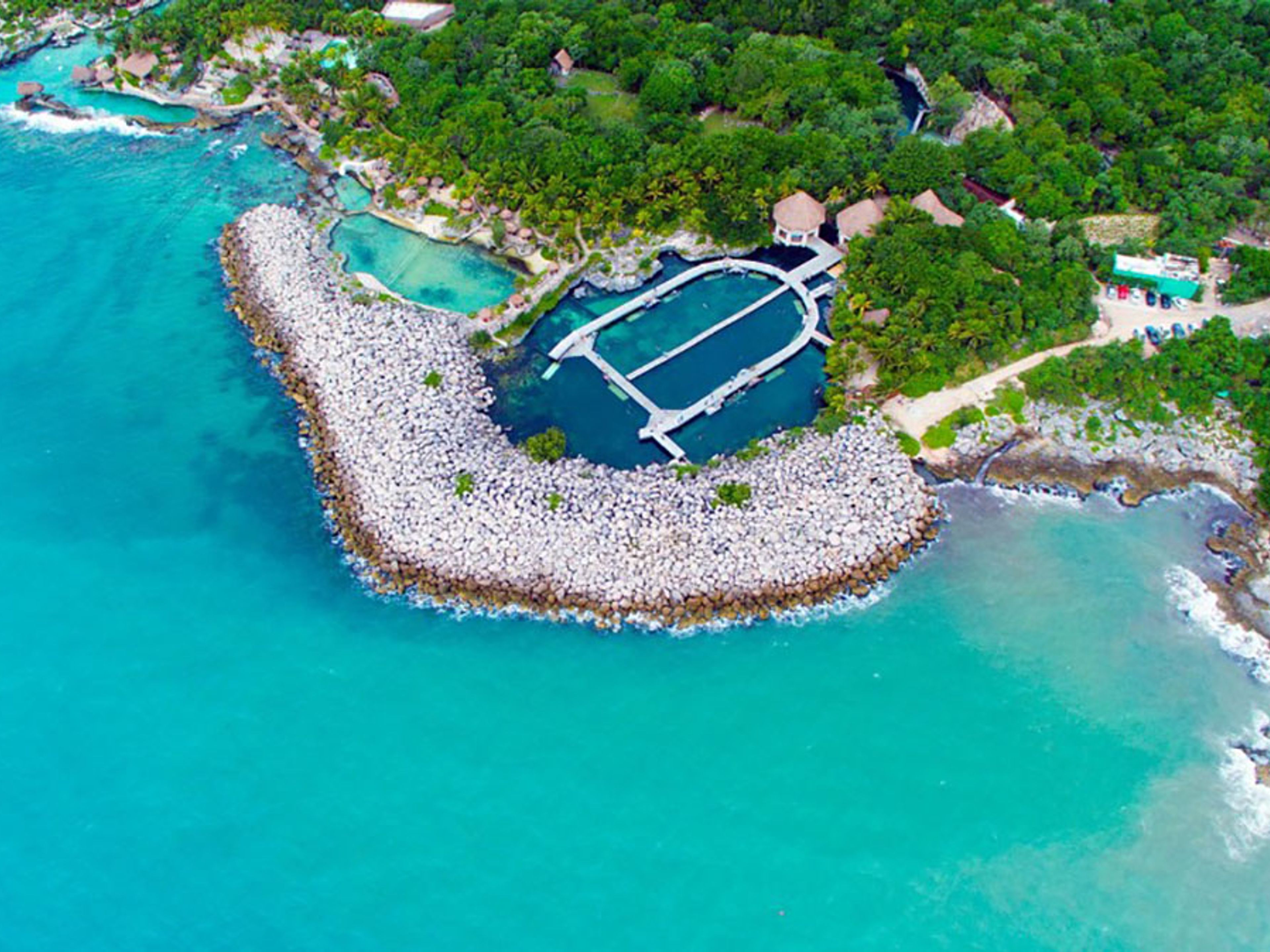 Excursão "Primax Golfinhos em Riviera Maya". "Primax Dolphin in Riviera Maya" Tour