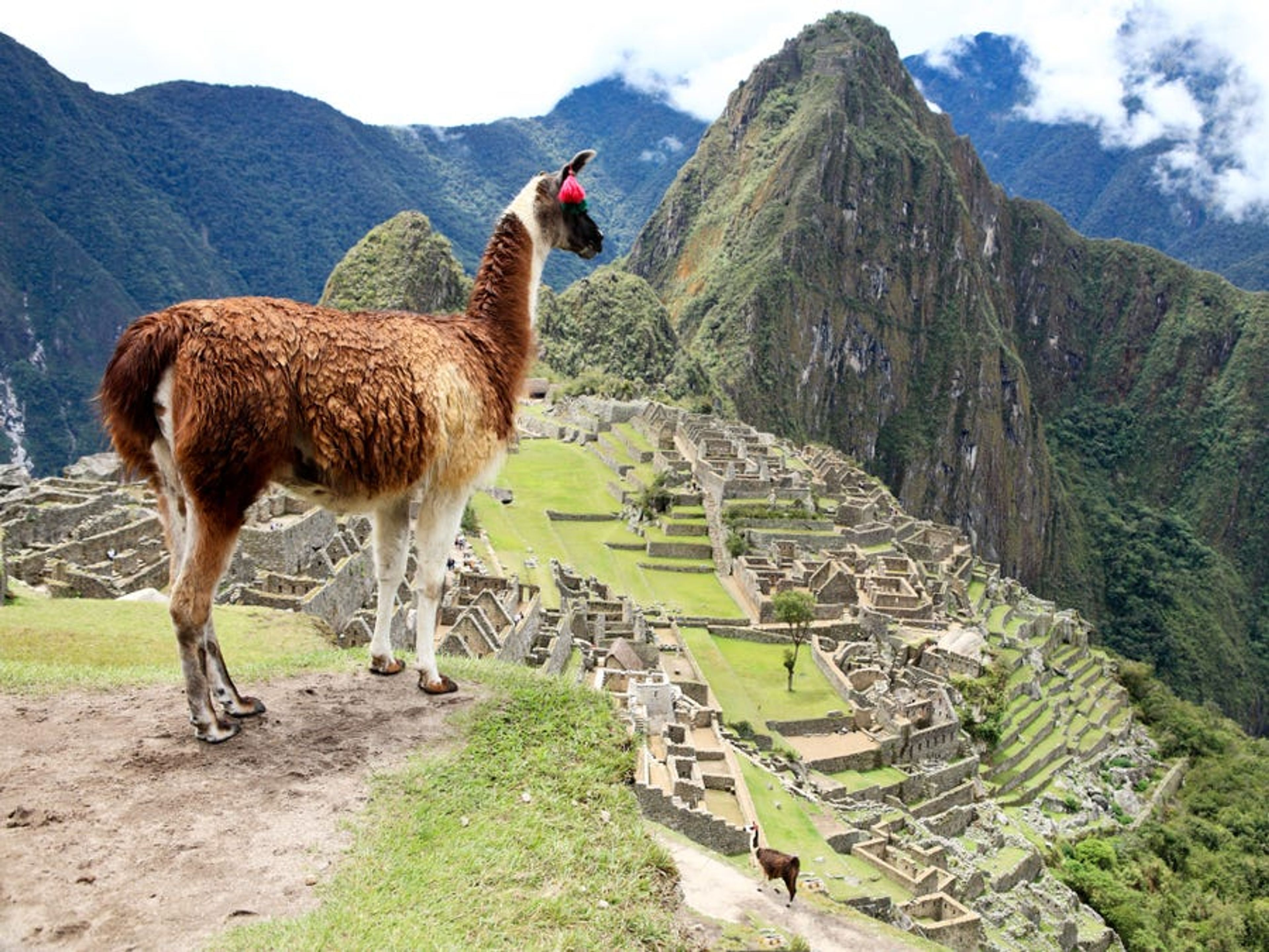 MACHU PICCHU GANZTÄGIGE TOUR. Machu Picchu, Perú.