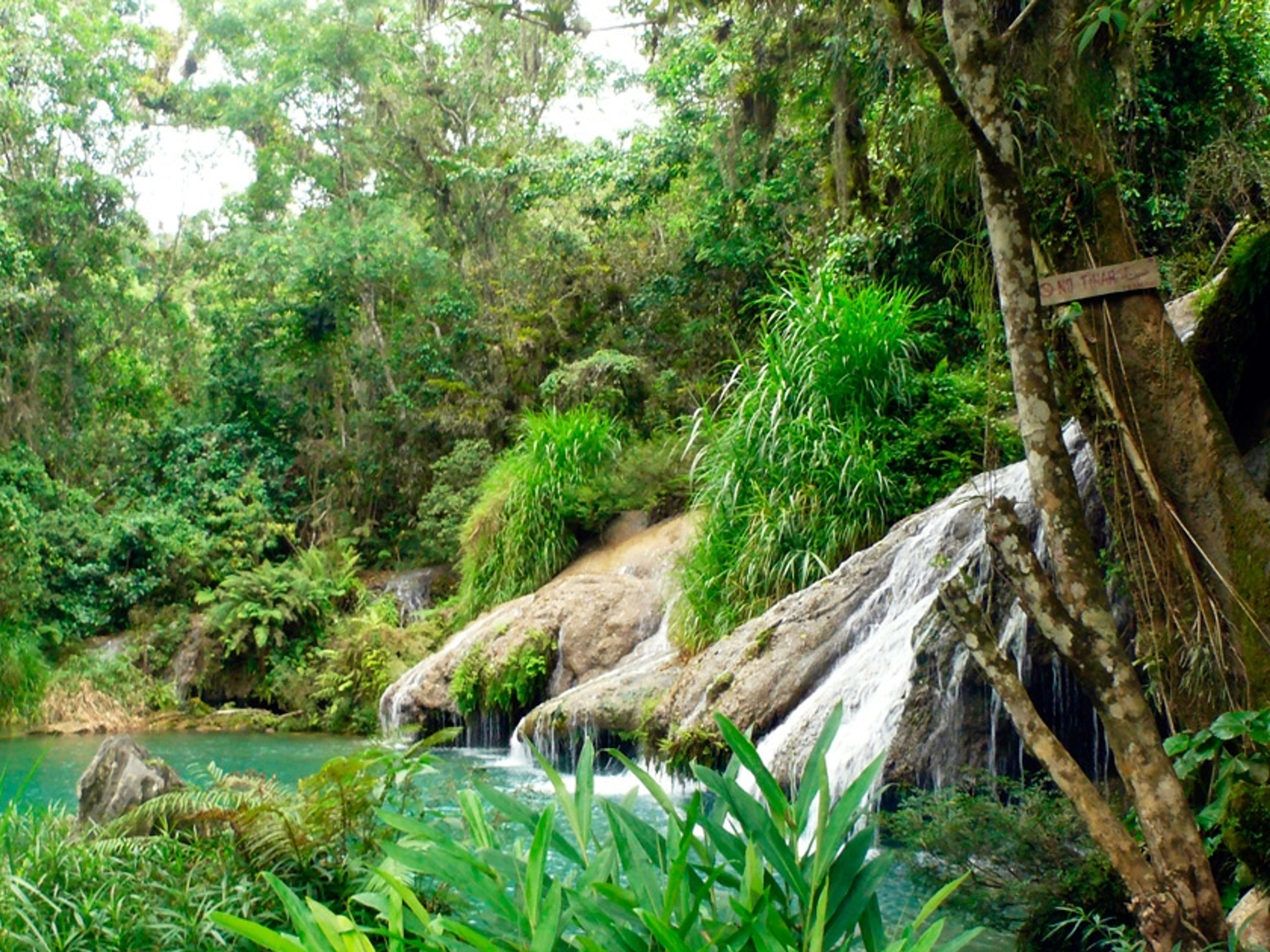 Excursão "CIENFUEGOS - EL NICHO - TRINIDAD". El Nicho waterfall, Cienfuegos, Cuba.