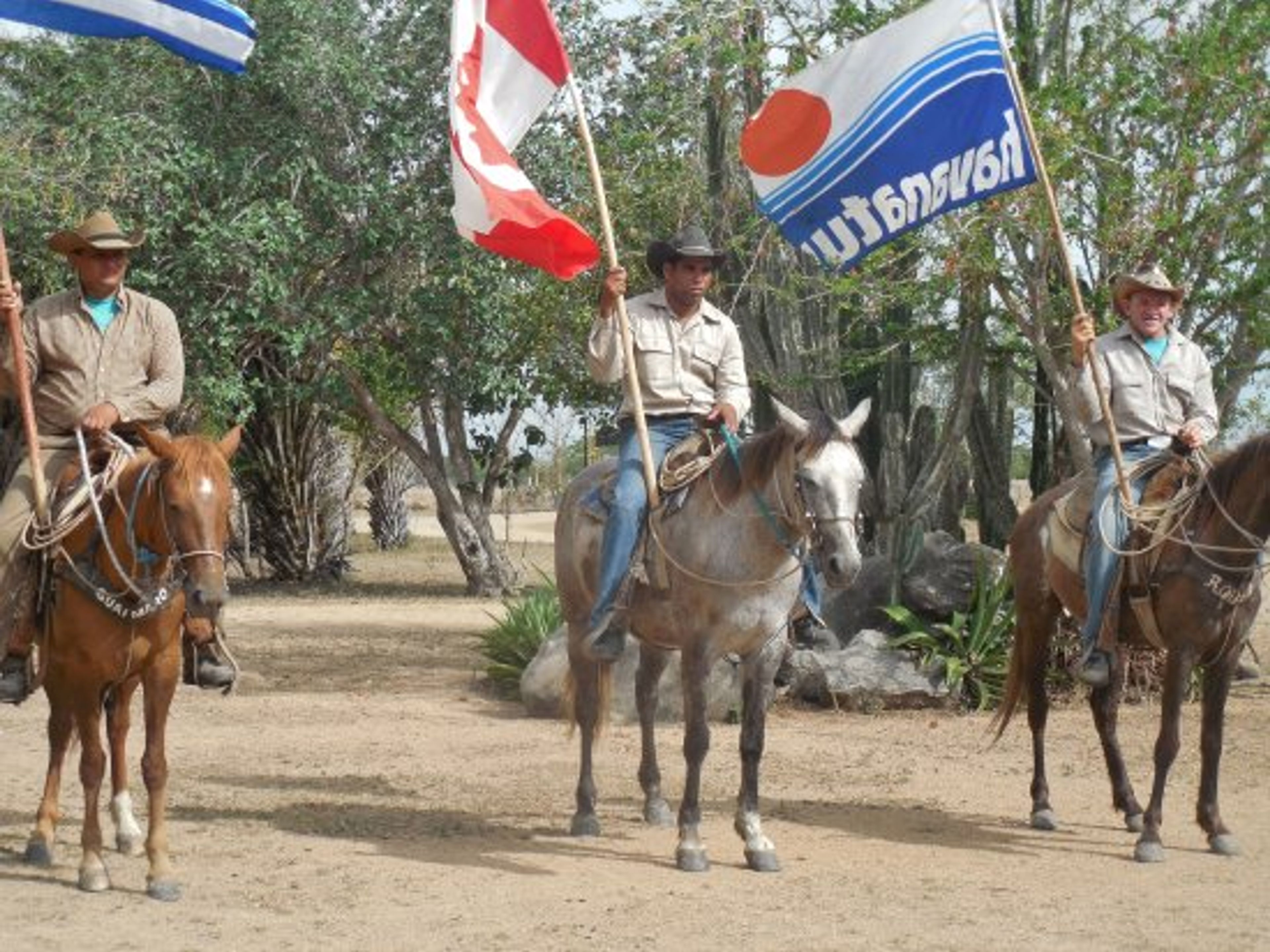 Visita ao Rancho King". Rancho King Touristic Farm