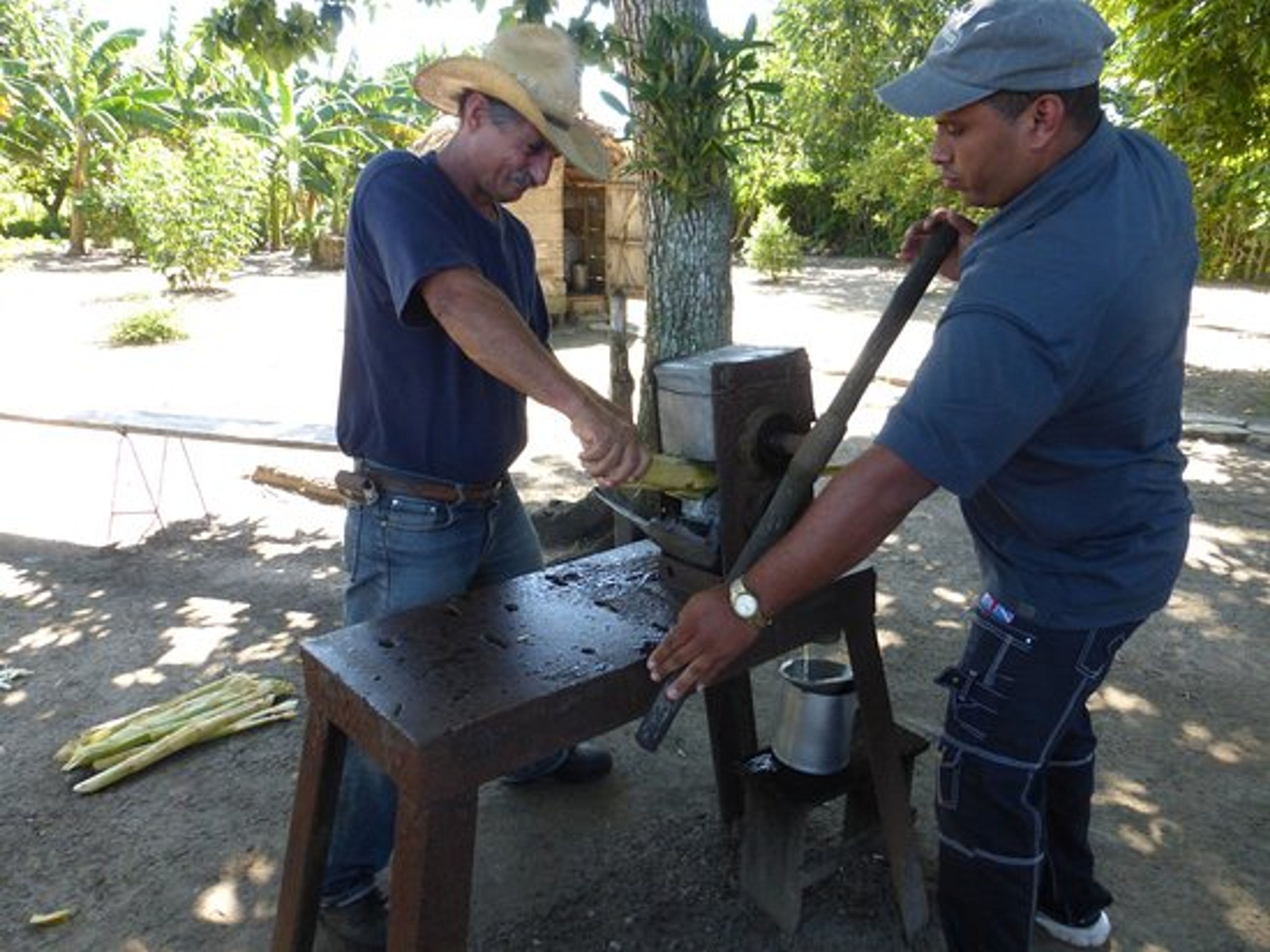 Visita ao Rancho King". Rancho King Touristic Farm