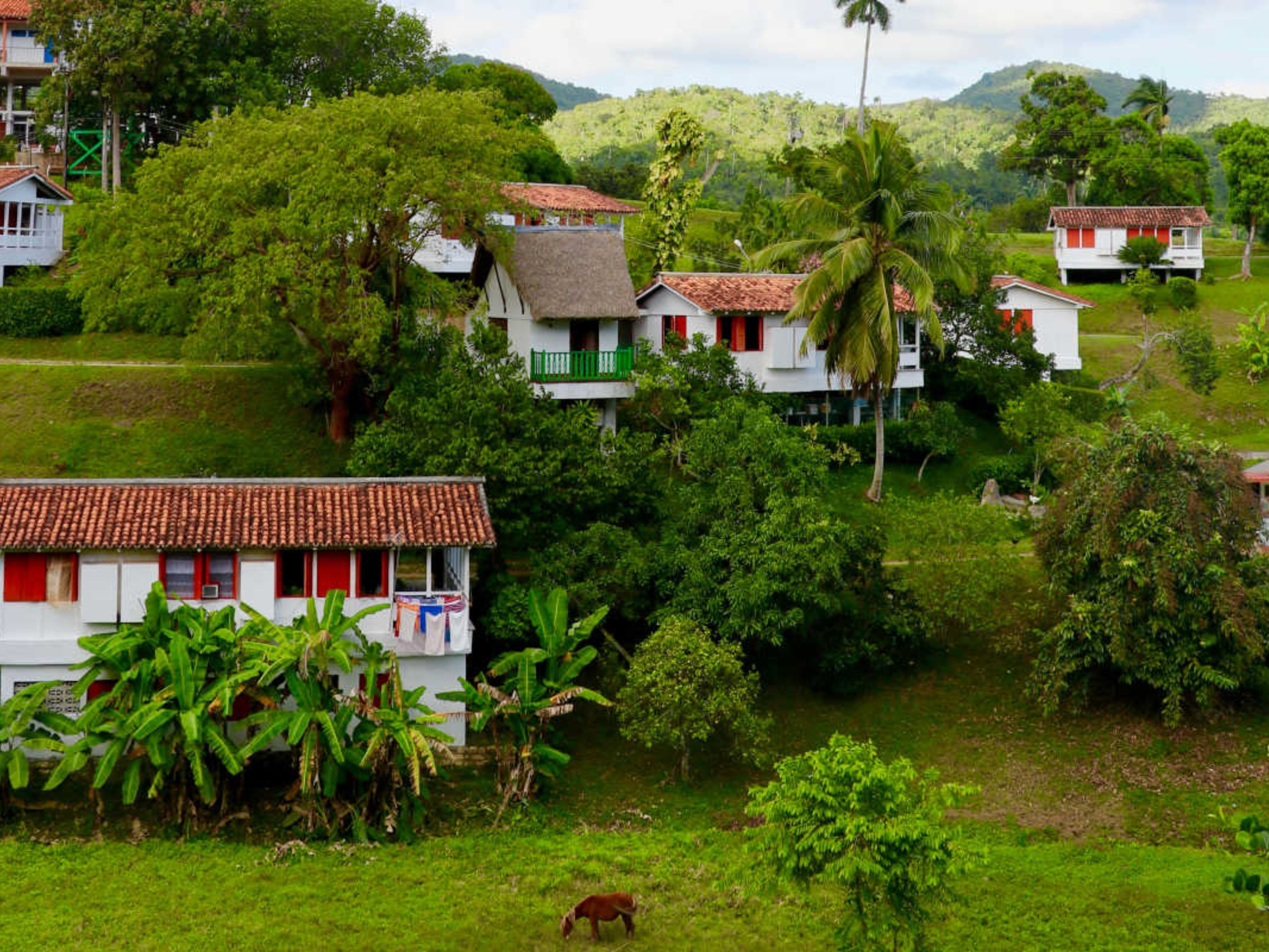 Tour "SOROA + LAS TERRAZAS". Las Terrazas Comunity panoramic view, Artemisa, Cuba.
