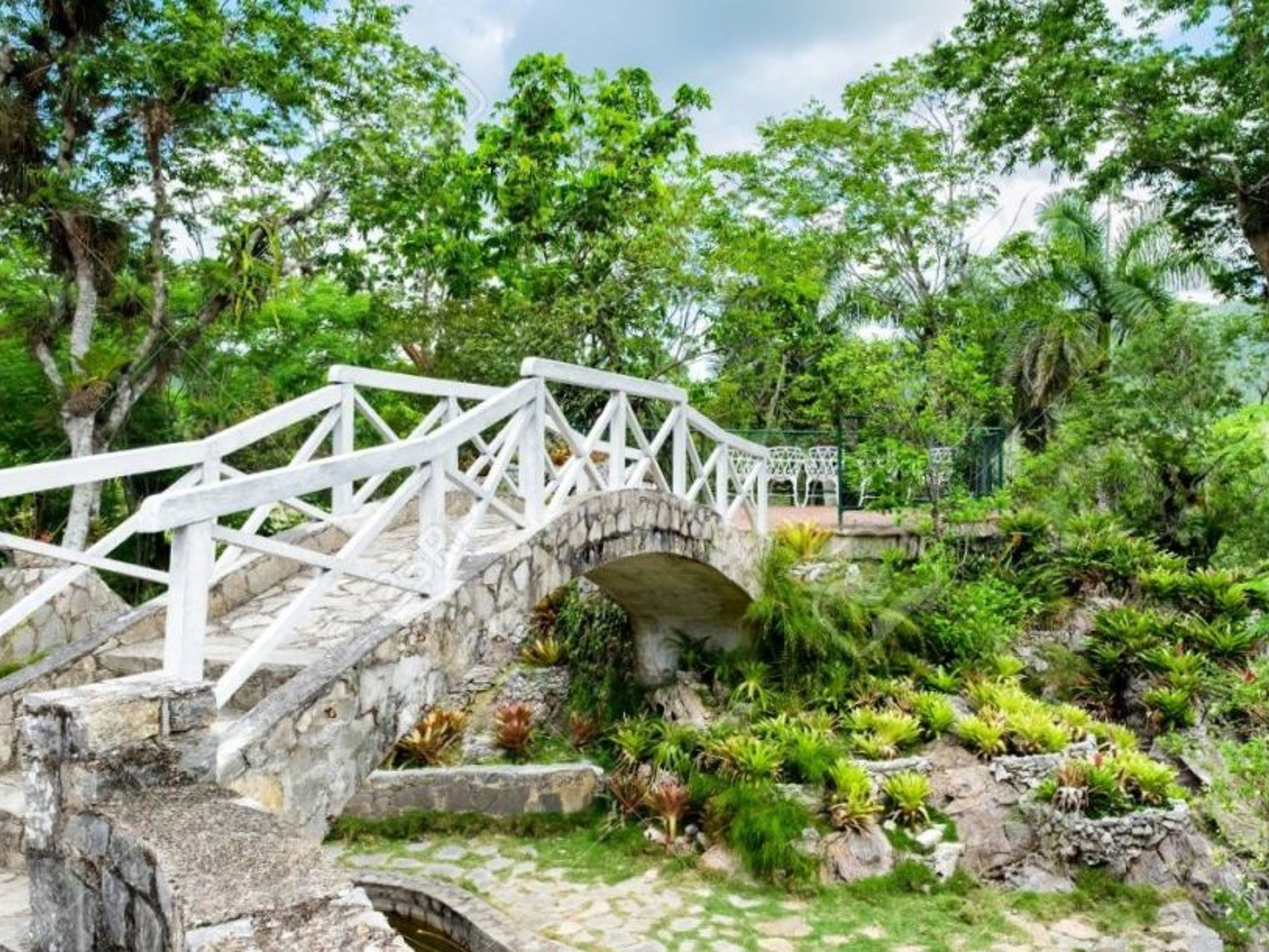 Tour "SOROA + LAS TERRAZAS". Soroa Orchid Garden