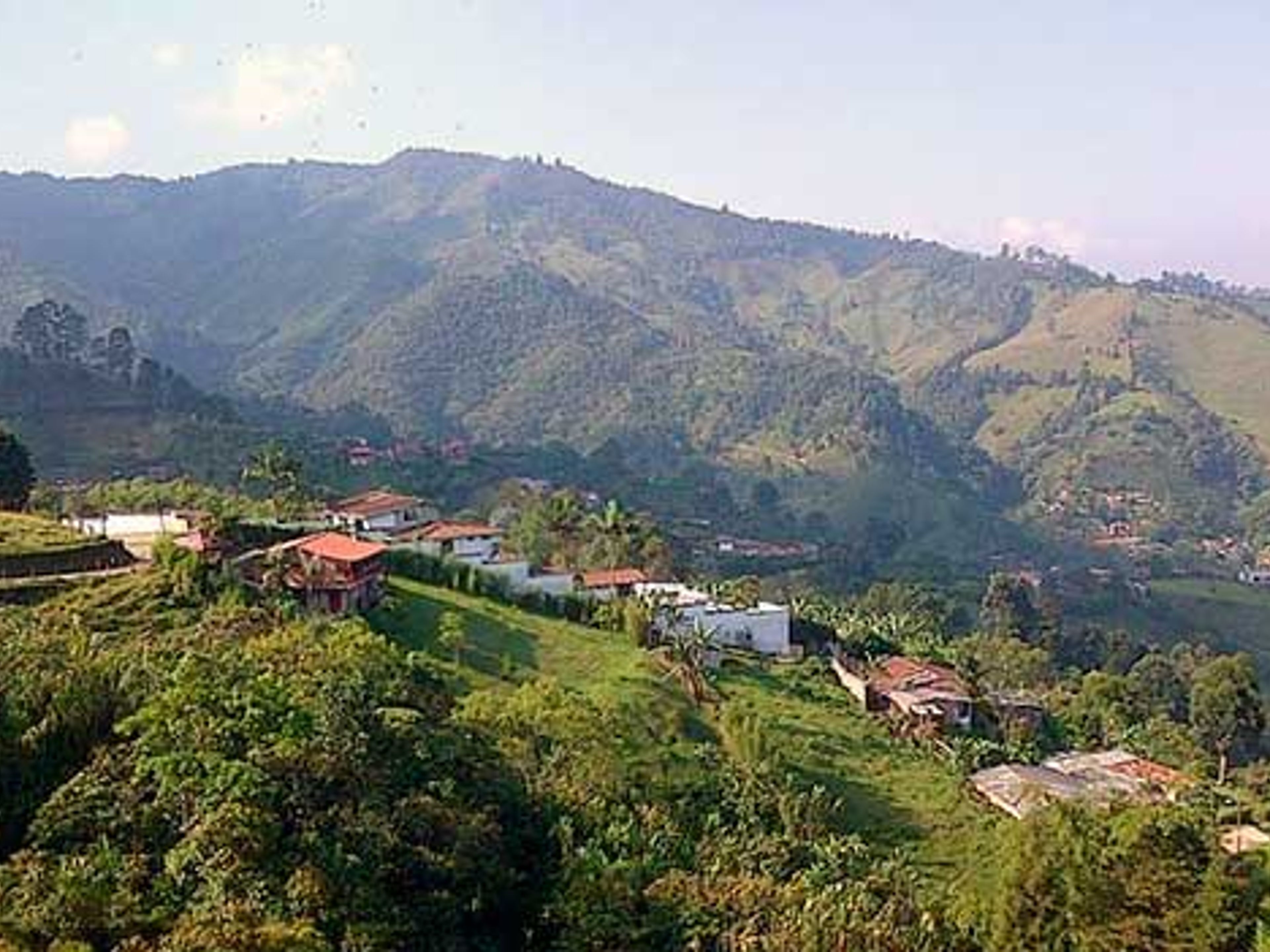 Excursão "Comunidade, Natureza e História"
