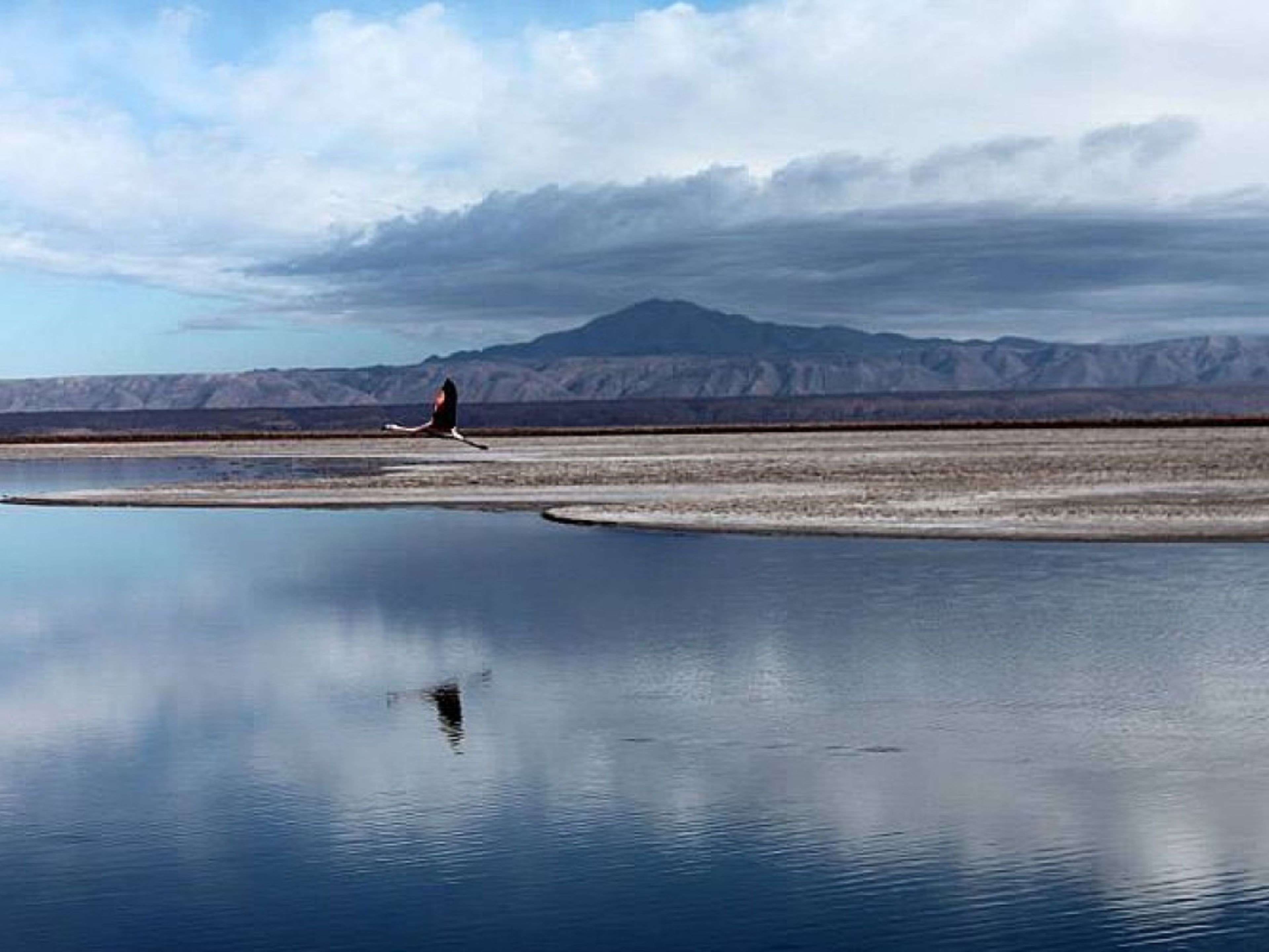 ESCURSIONE "SALAR DE ATACAMA & JEREZ (COCKTAIL)".. ATACAMA SALT FLAT,  Antofagasta region, Chile.