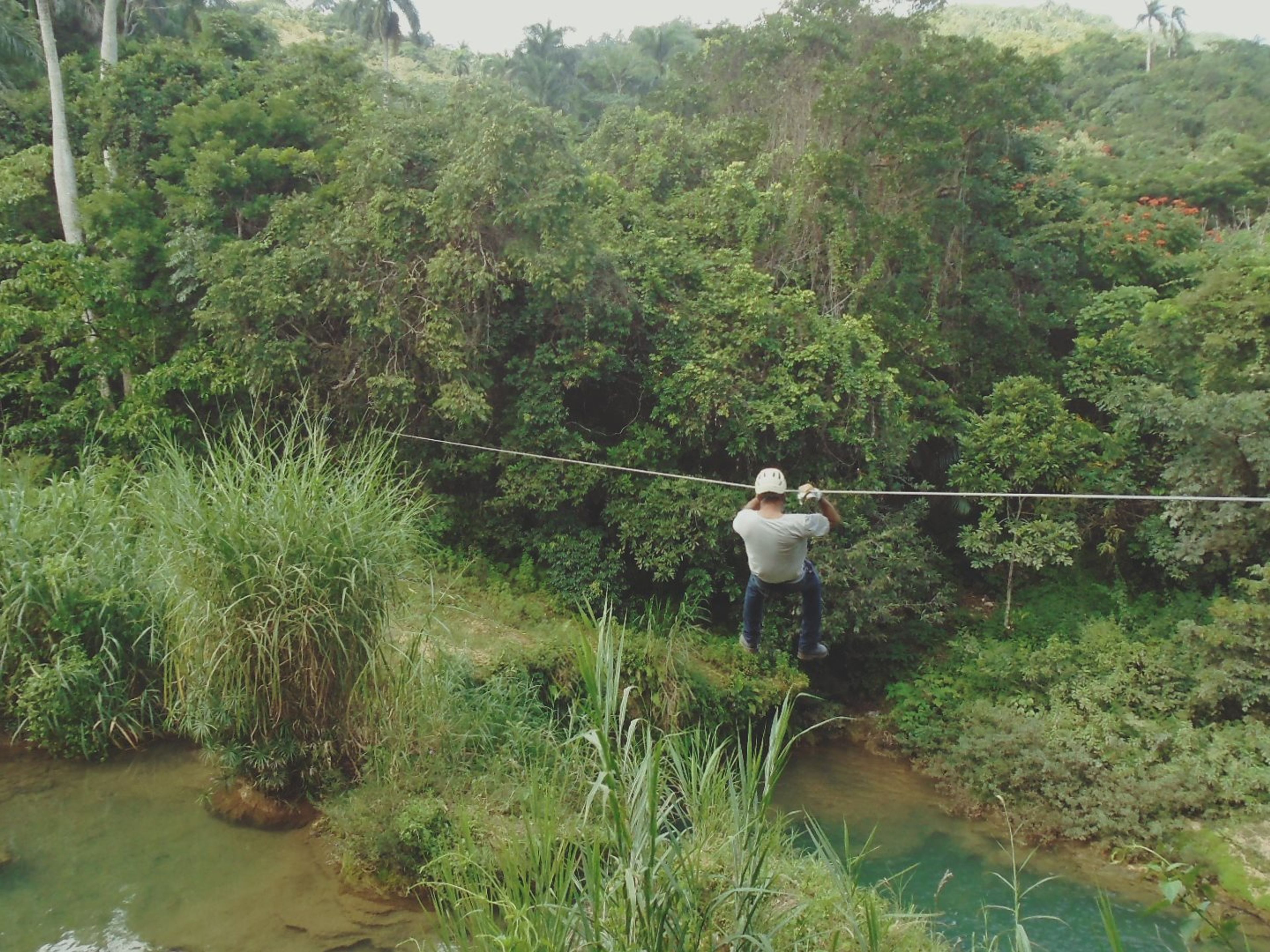 Tour "CANOPY-TOUR IM NATURPARK EL CUBANO IN TOPES DE COLLANTES". “CANOPY TOUR IN EL CUBANO NATURAL PARK AT TOPES DE COLLANTES” Tour, Cuba.