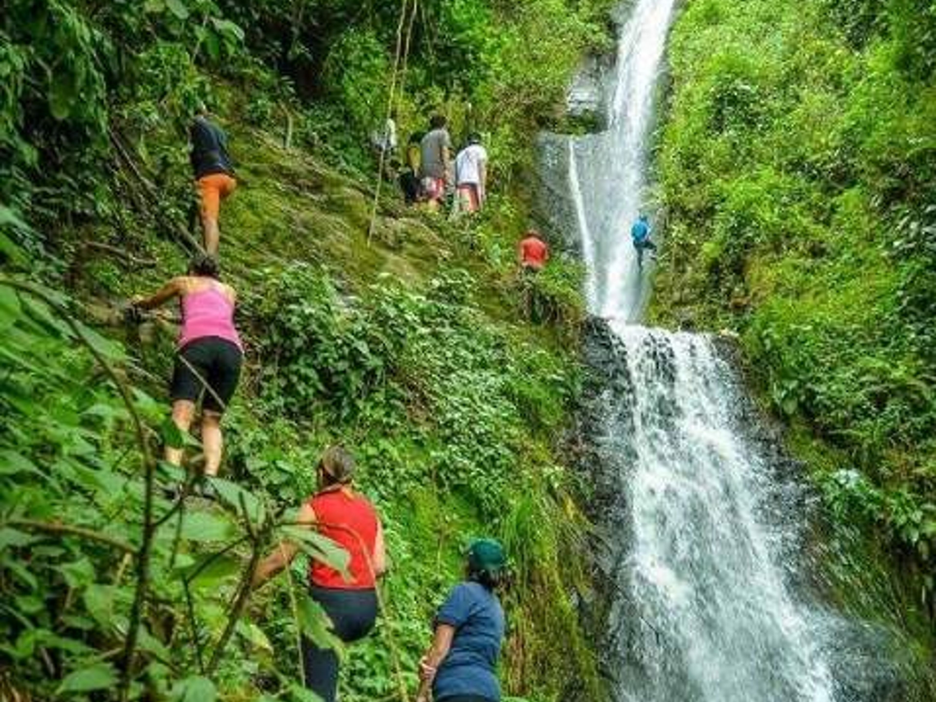 TOUR "COROICO". Coroico. Route to the three waterfalls