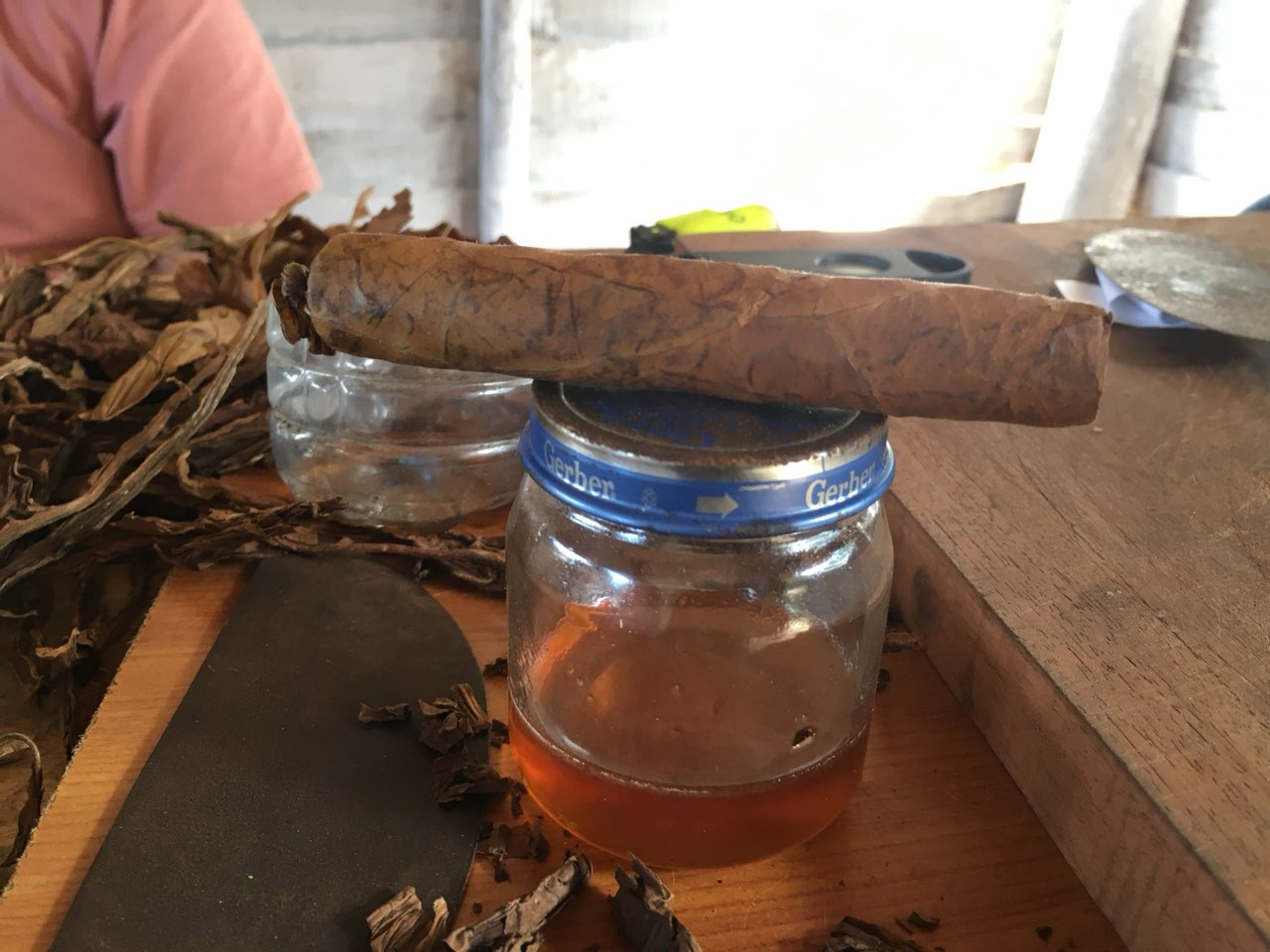 Tour "GIRO DEL TABACCO A VIÑALES, SCOPRI I SEGRETI DEL TABACCO CUBANO". “TOBACCO TOUR IN VIÑALES, DISCOVER THE SECRETS OF CUBAN TOBACCO” Tour, Viñales Valley, Pinar del Río, Cuba.