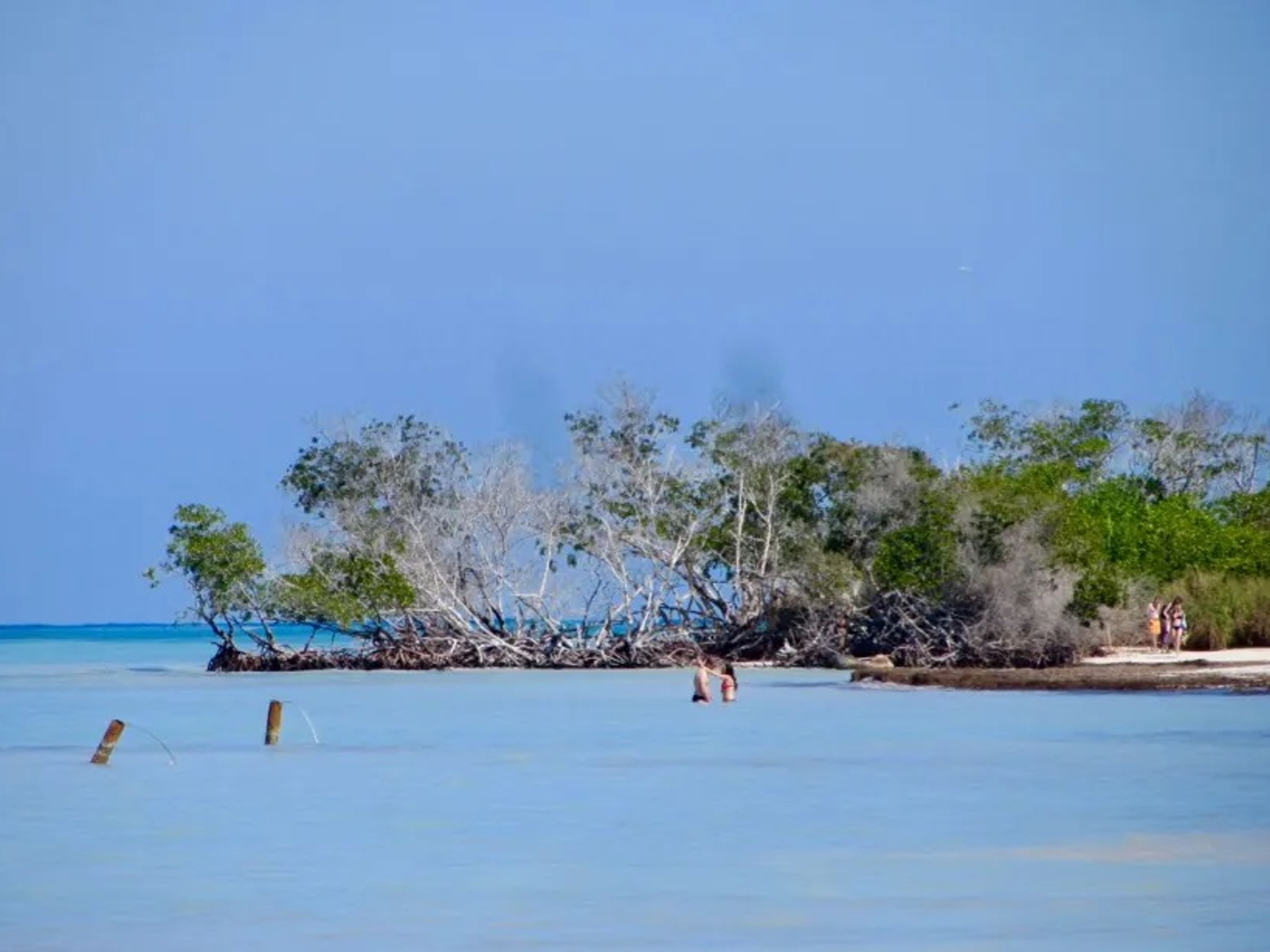 Tour "Visite à Cayo Jutías". Cayo Jutías panoramic view, Pinar del Río, Cuba.