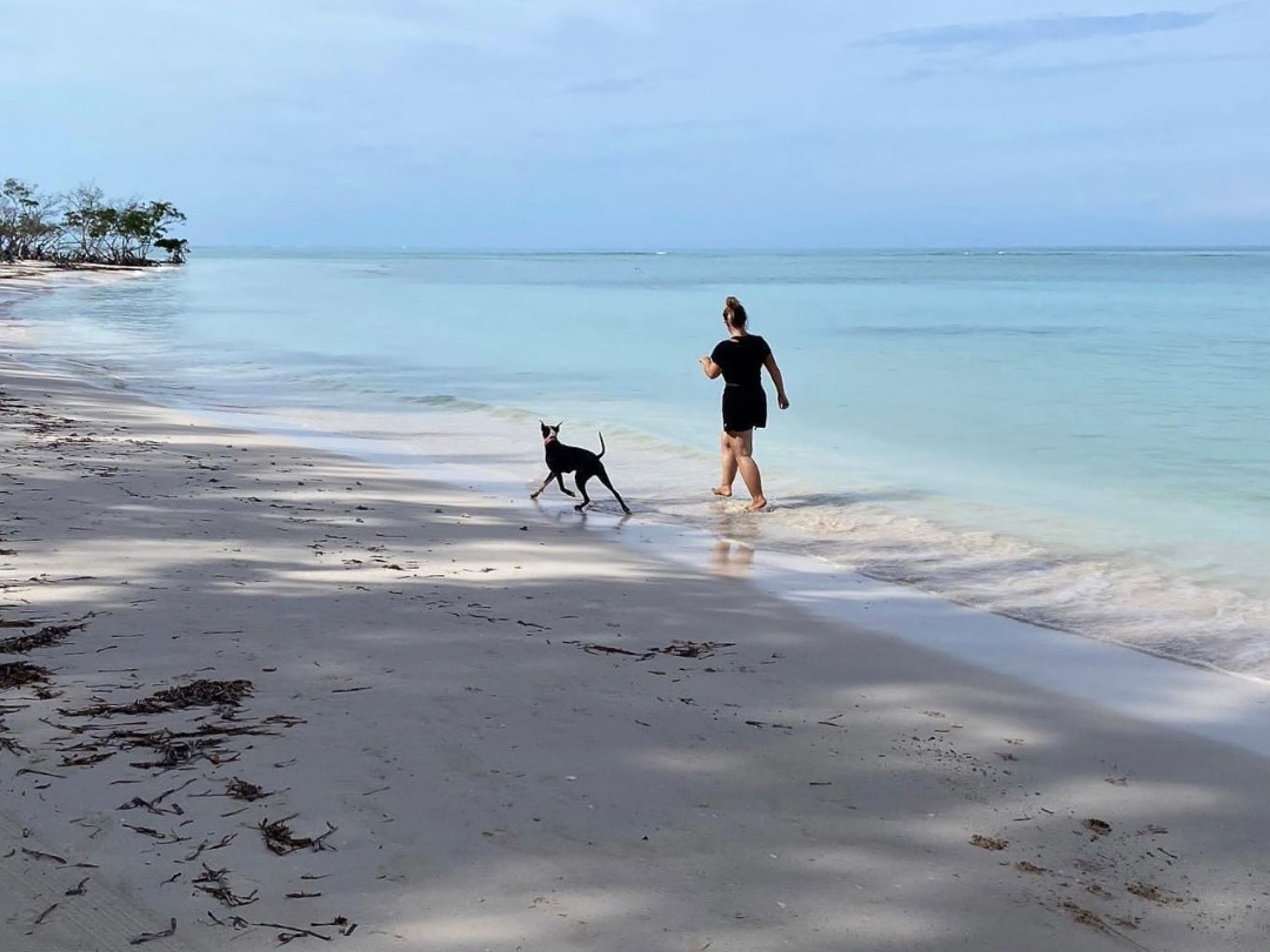 Tour "VISITE À CAYO JUTÍAS". Cayo Jutías panoramic view, Pinar del Río, Cuba.