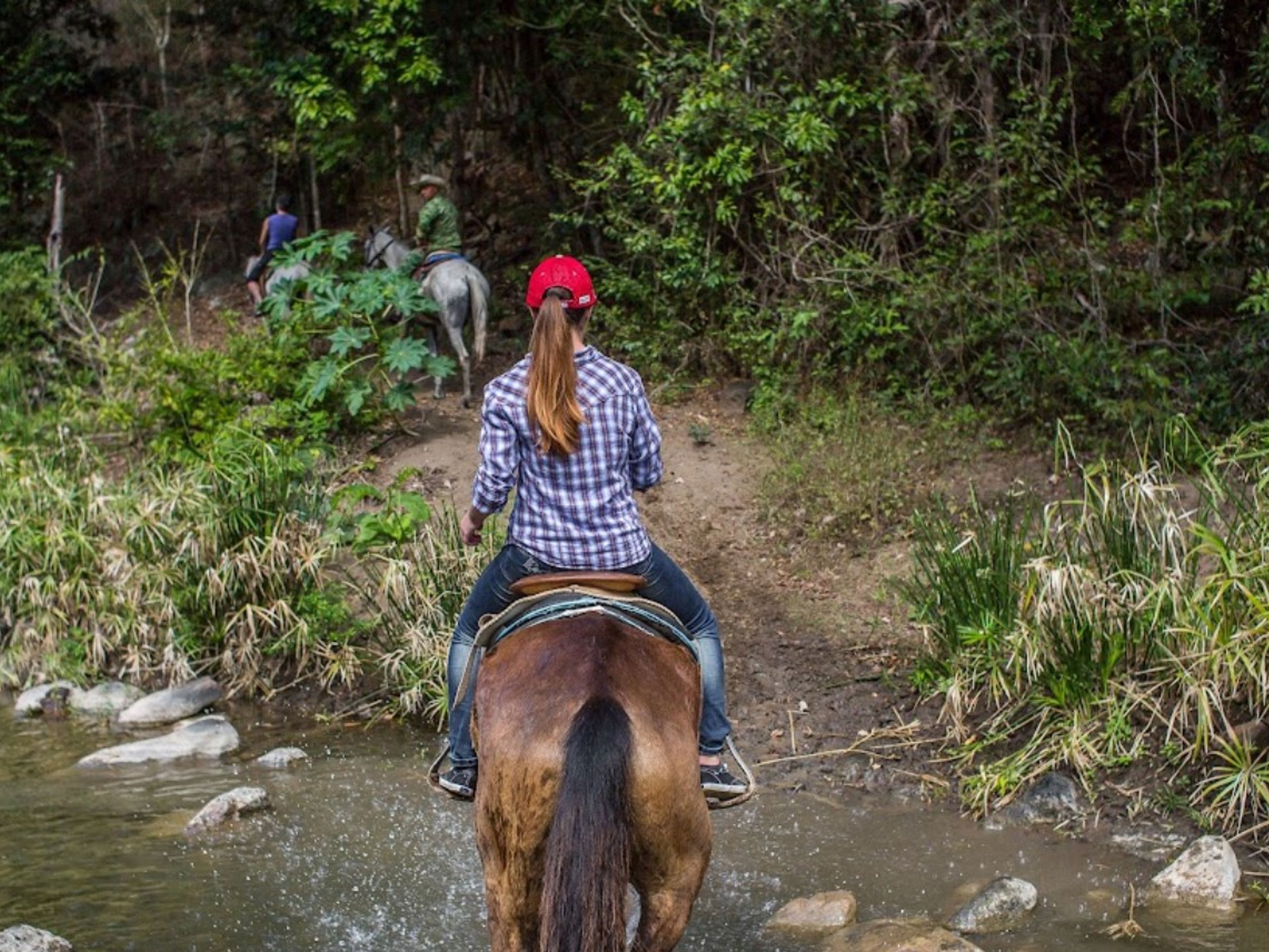 Excursión "PASEO A CABALLO EN MAREA DEL PORTILLO". null