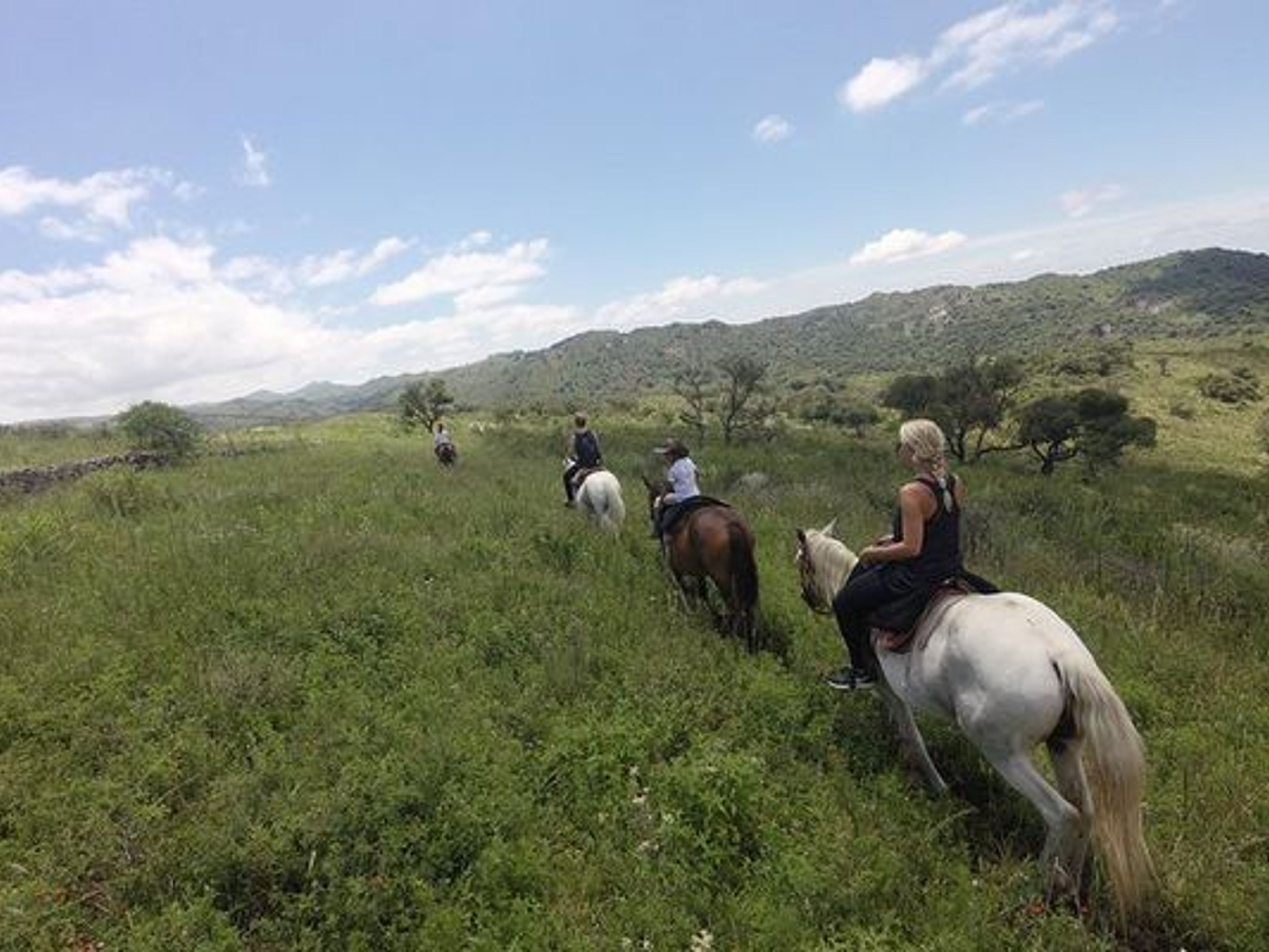 Excursión "PASEO A CABALLO EN MAREA DEL PORTILLO". null