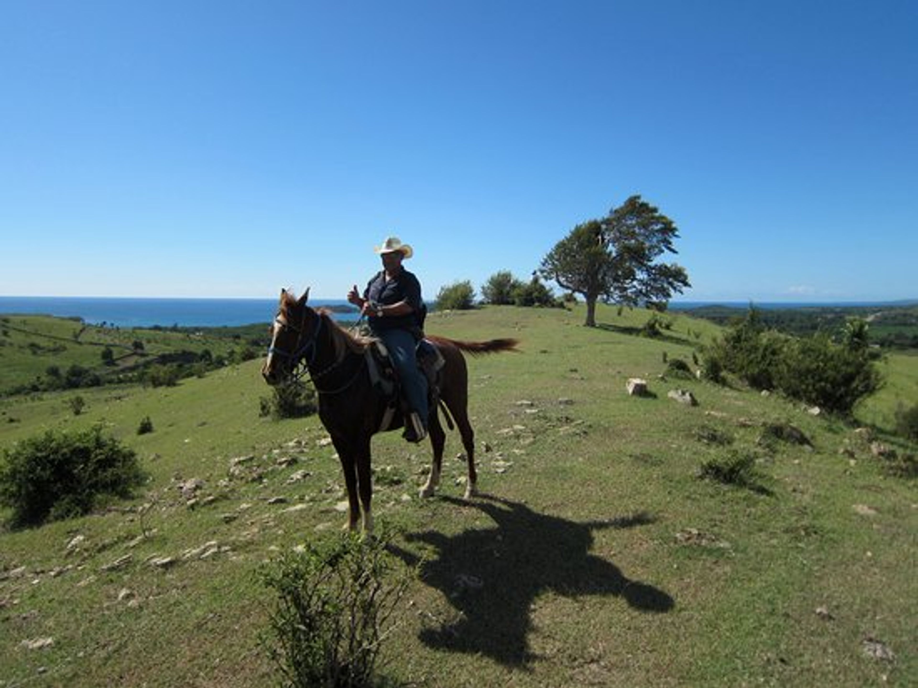 Excursión "PASEO A CABALLO EN MAREA DEL PORTILLO". null