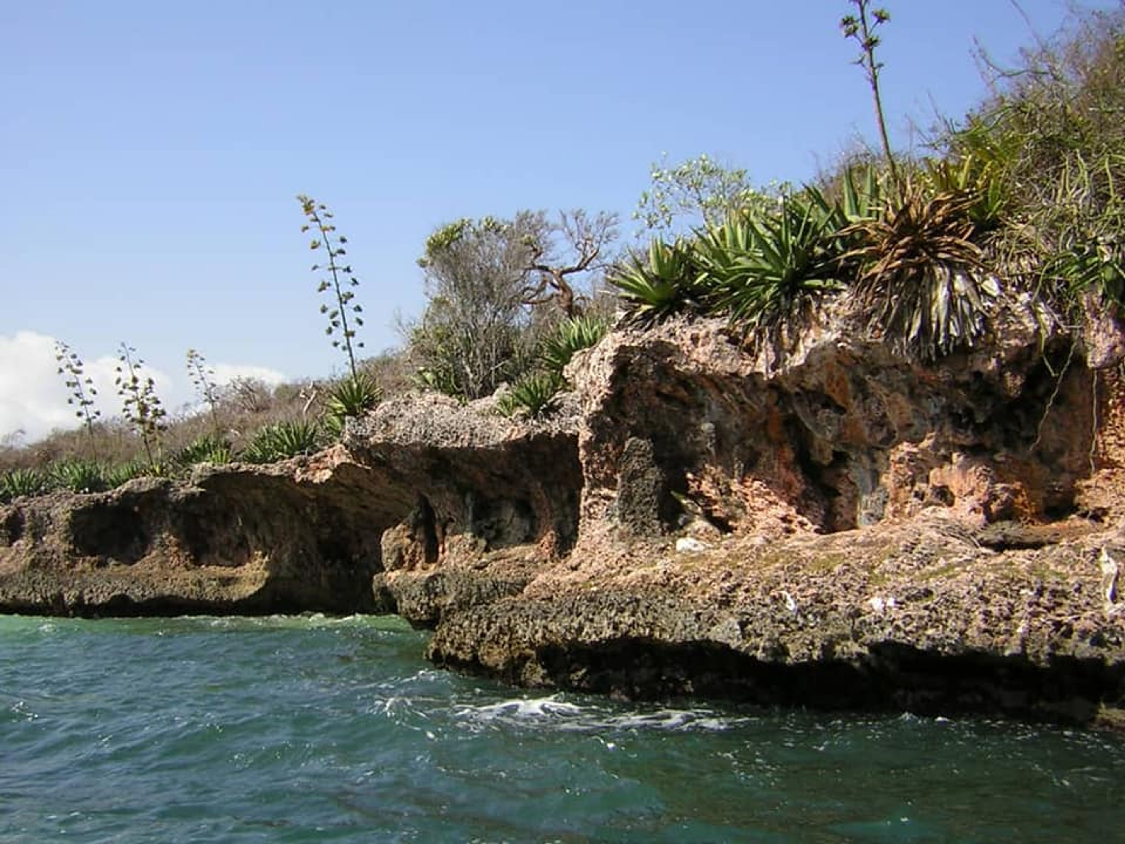 Тур "JEEP SAFARI YAGUAJAY". Swimming in the river, Yaguajay, Sancti Spíritus, Cuba