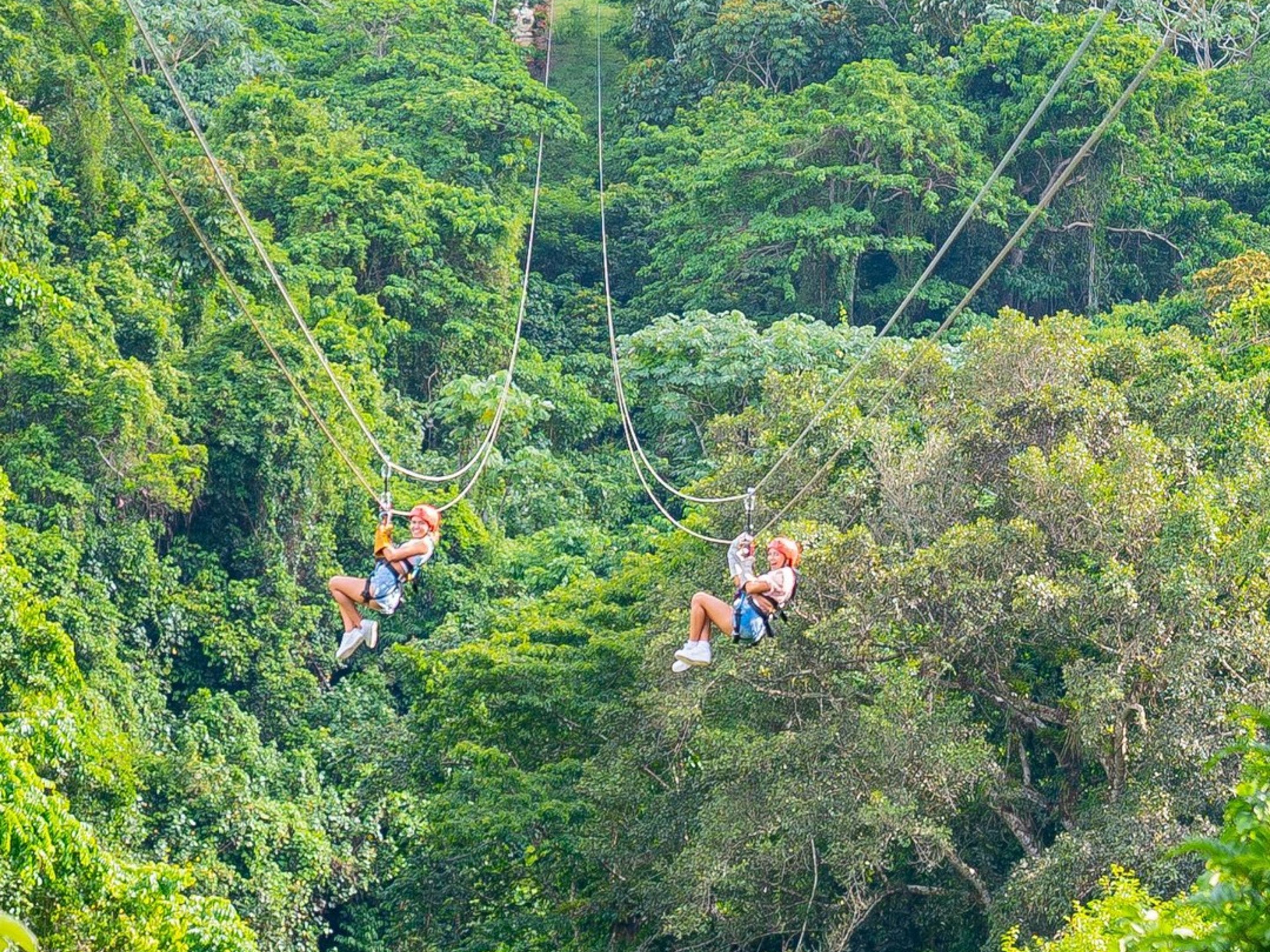 Tур "ПРИКЛЮЧЕНИЕ НА ТРОЛЛЕЯХ В ПУНТА КАНА". ”ZIPLINES ADVENTURE IN PUNTA CANA” Tour