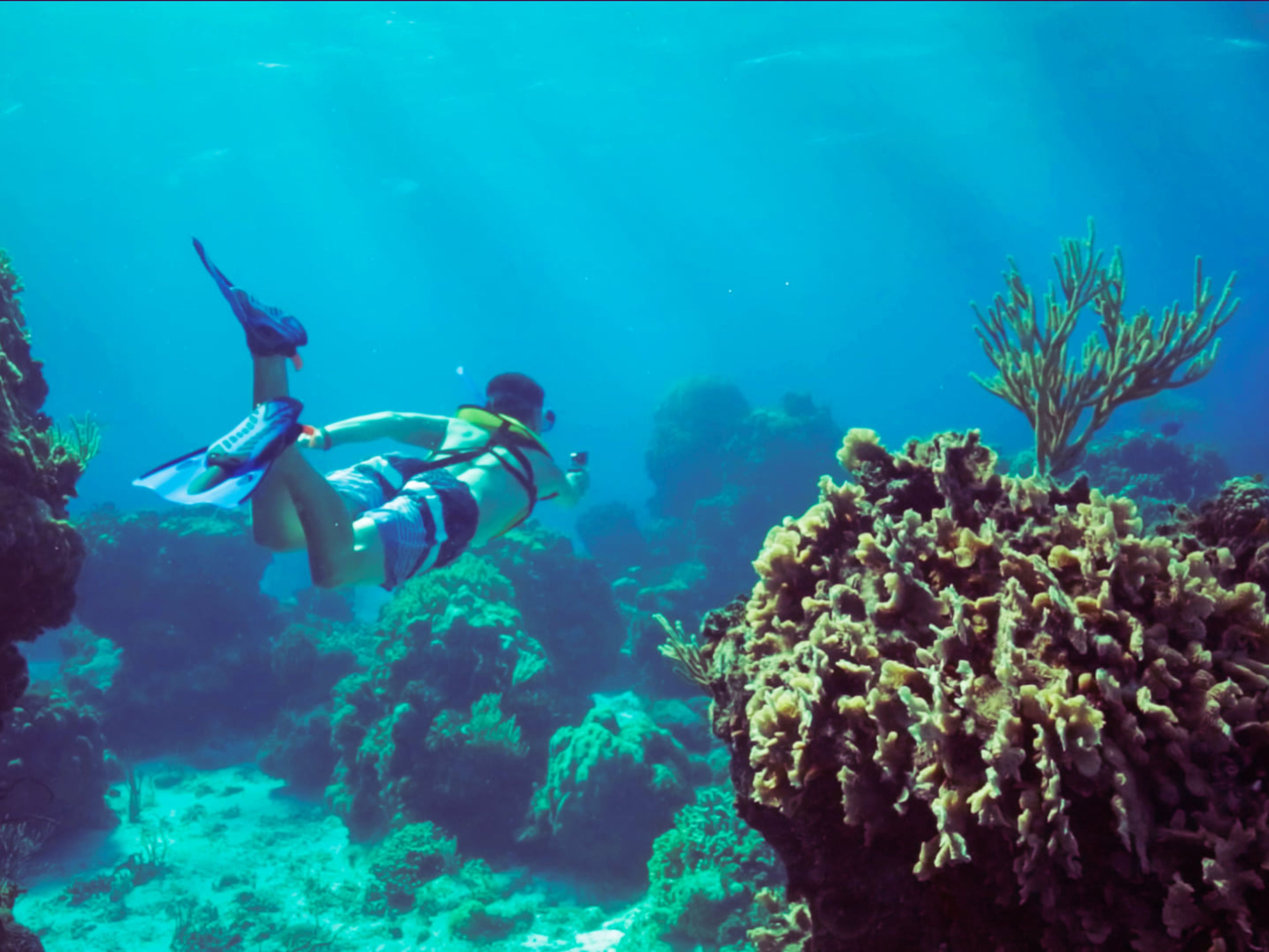 Tур "Снорклинг в Козумеле". "Snorkeling in Cozumel" Tour