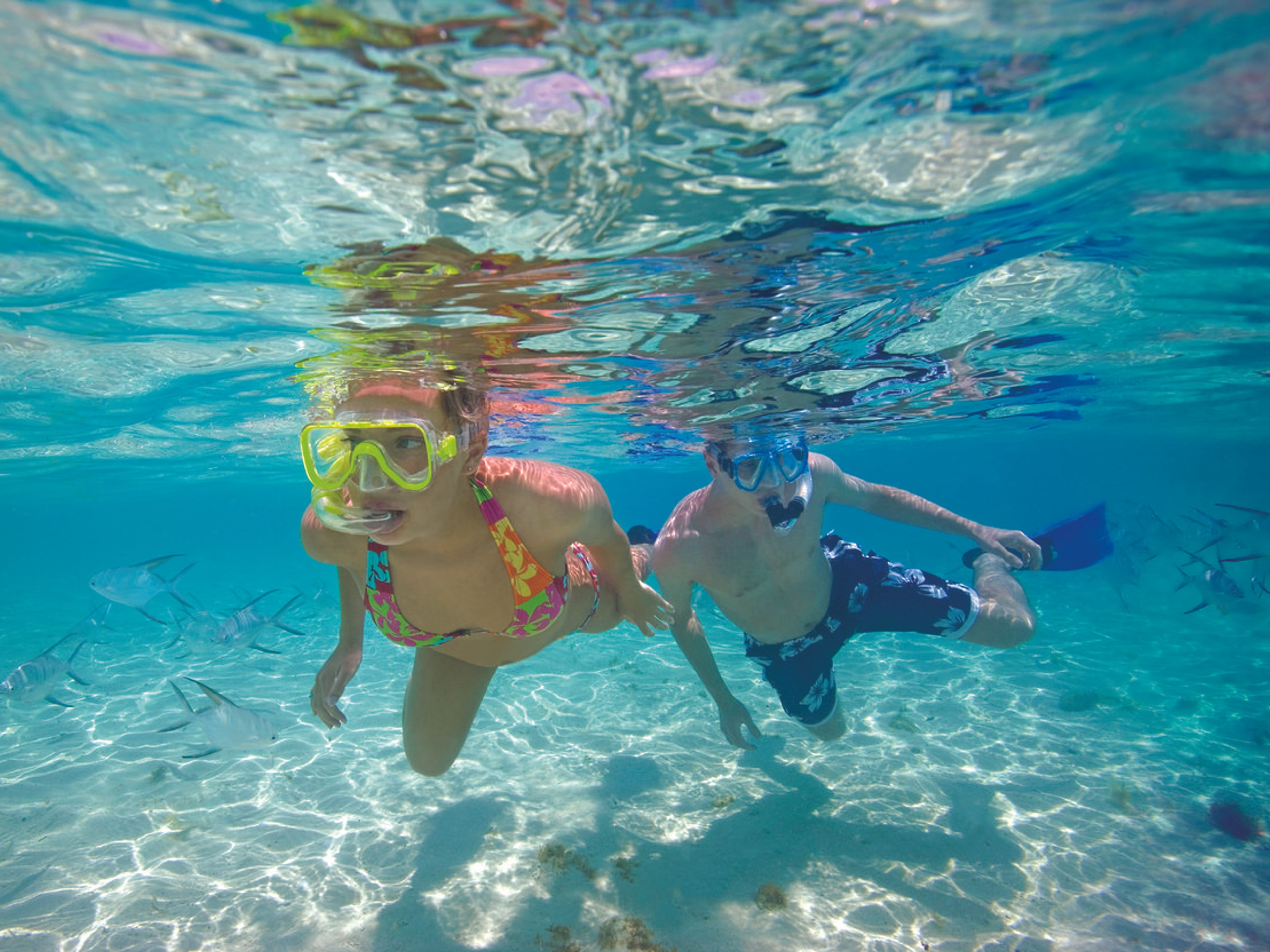 Tур "Снорклинг в Козумеле". "Snorkeling in Cozumel" Tour