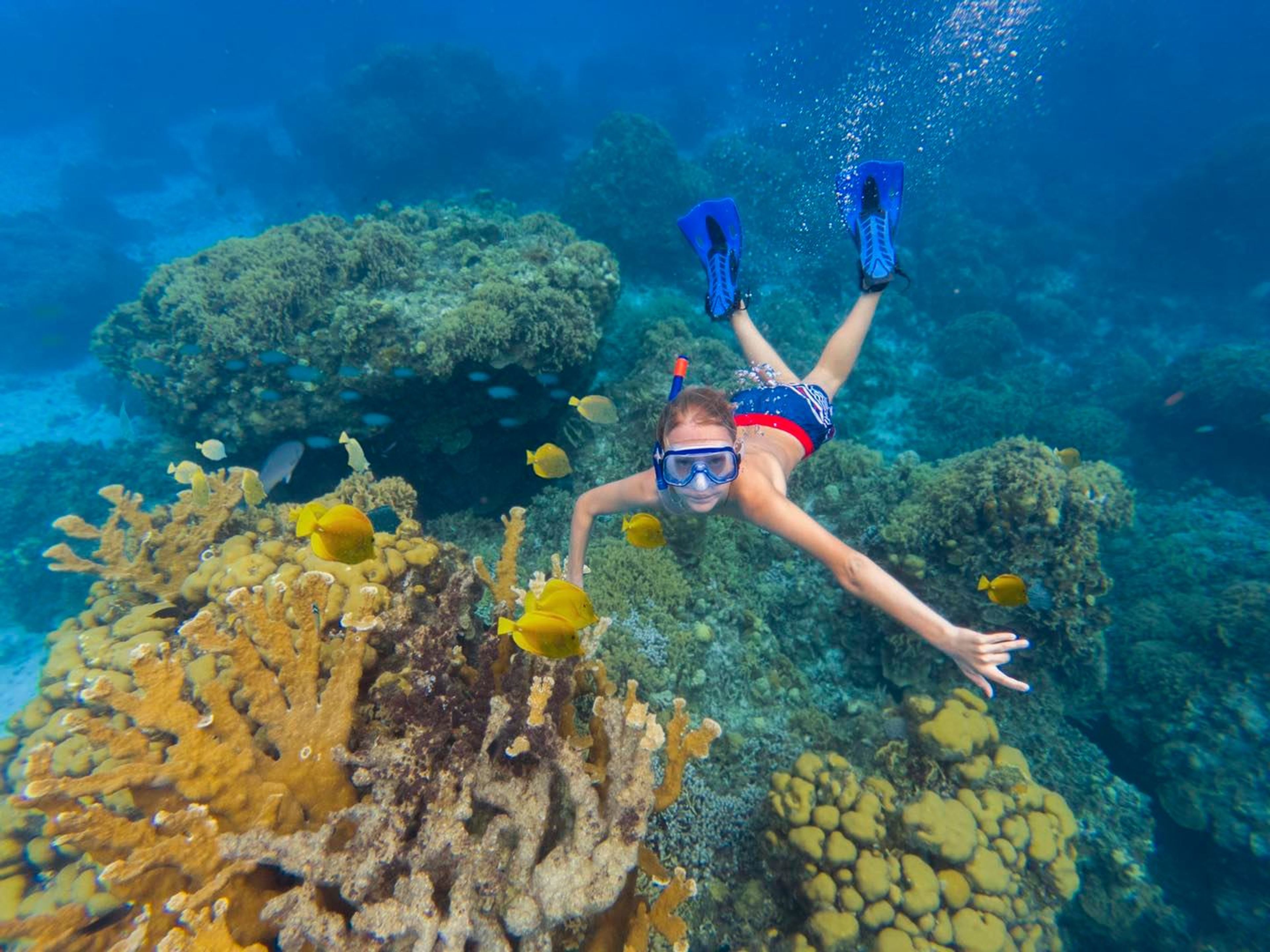 Tур "Снорклинг в Козумеле". "Snorkeling in Cozumel" Tour