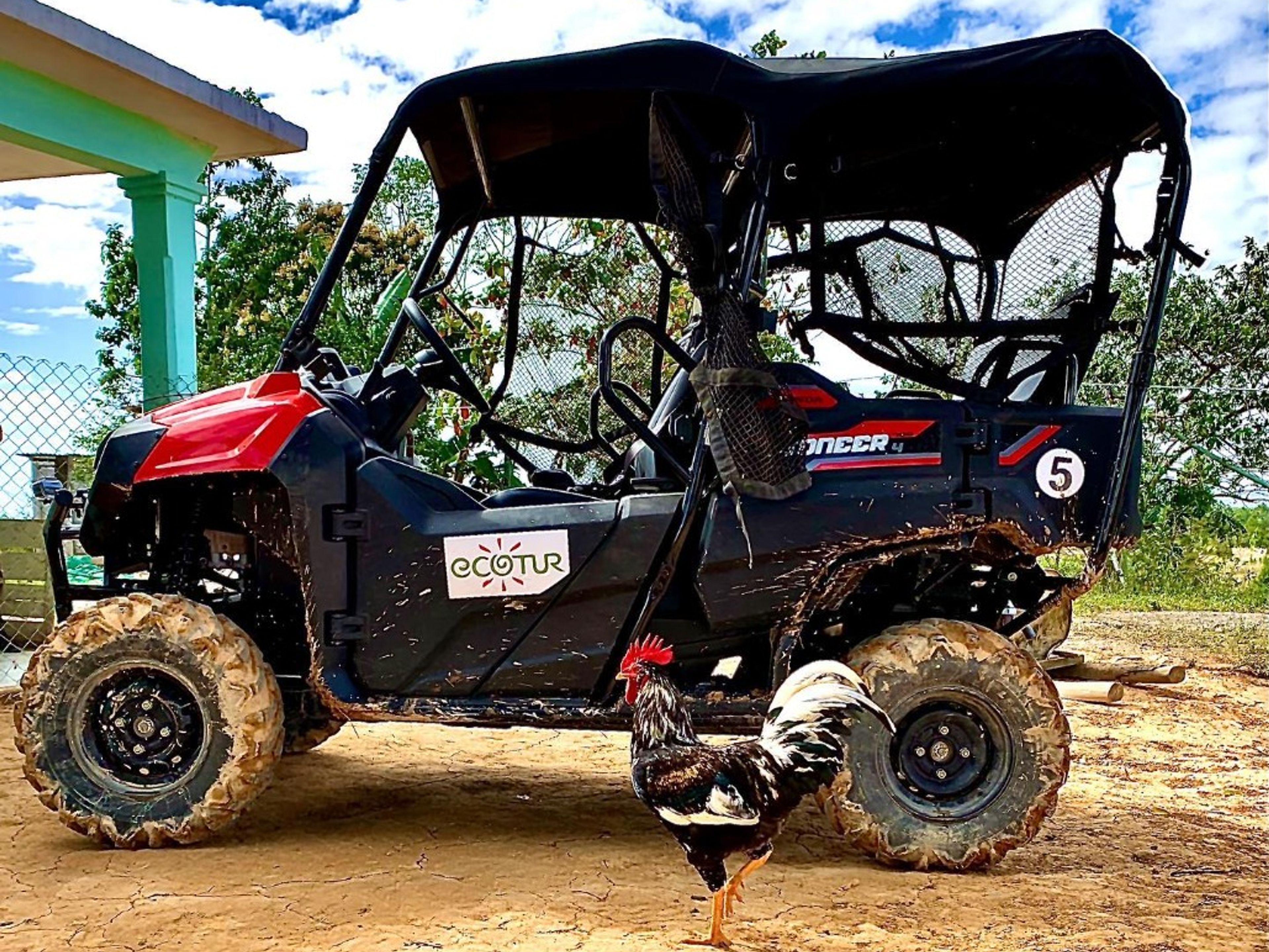 "BUGGY-TOUREN: VON VIÑALES NACH CAYO JUTIAS STRÄNDE" Tour. “BUGGY TOURS: FROM VIÑALES TO CAYO JUTIAS BEACHES” Tour, Viñales, Pinar del Río, Cuba.
