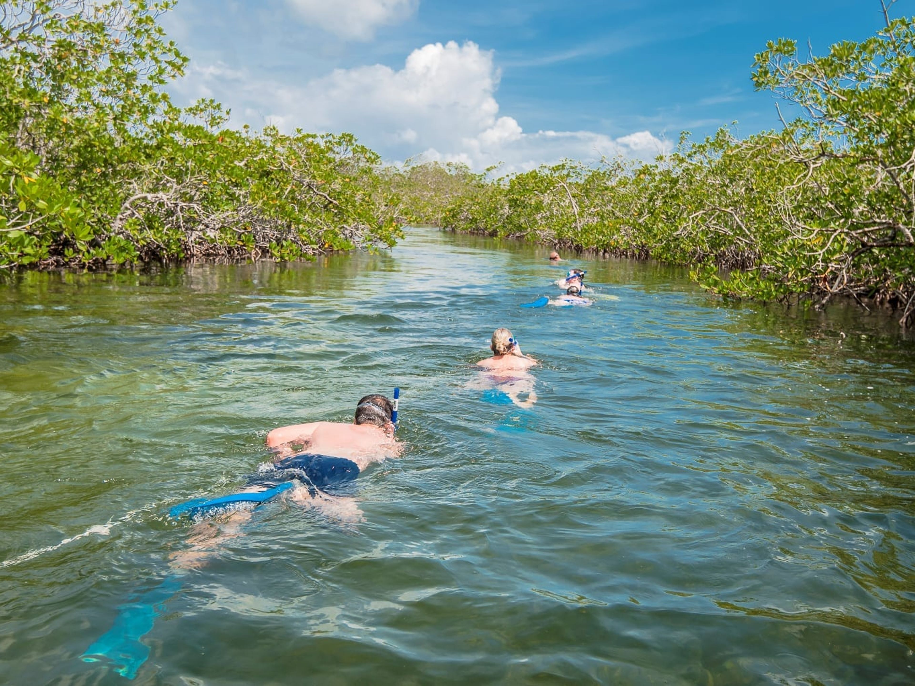 Excursão "BOAT ADVENTURE". "BOAT ADVENTURE" Tour, Jardines del Rey, Ciego de Ávila, Cuba.
