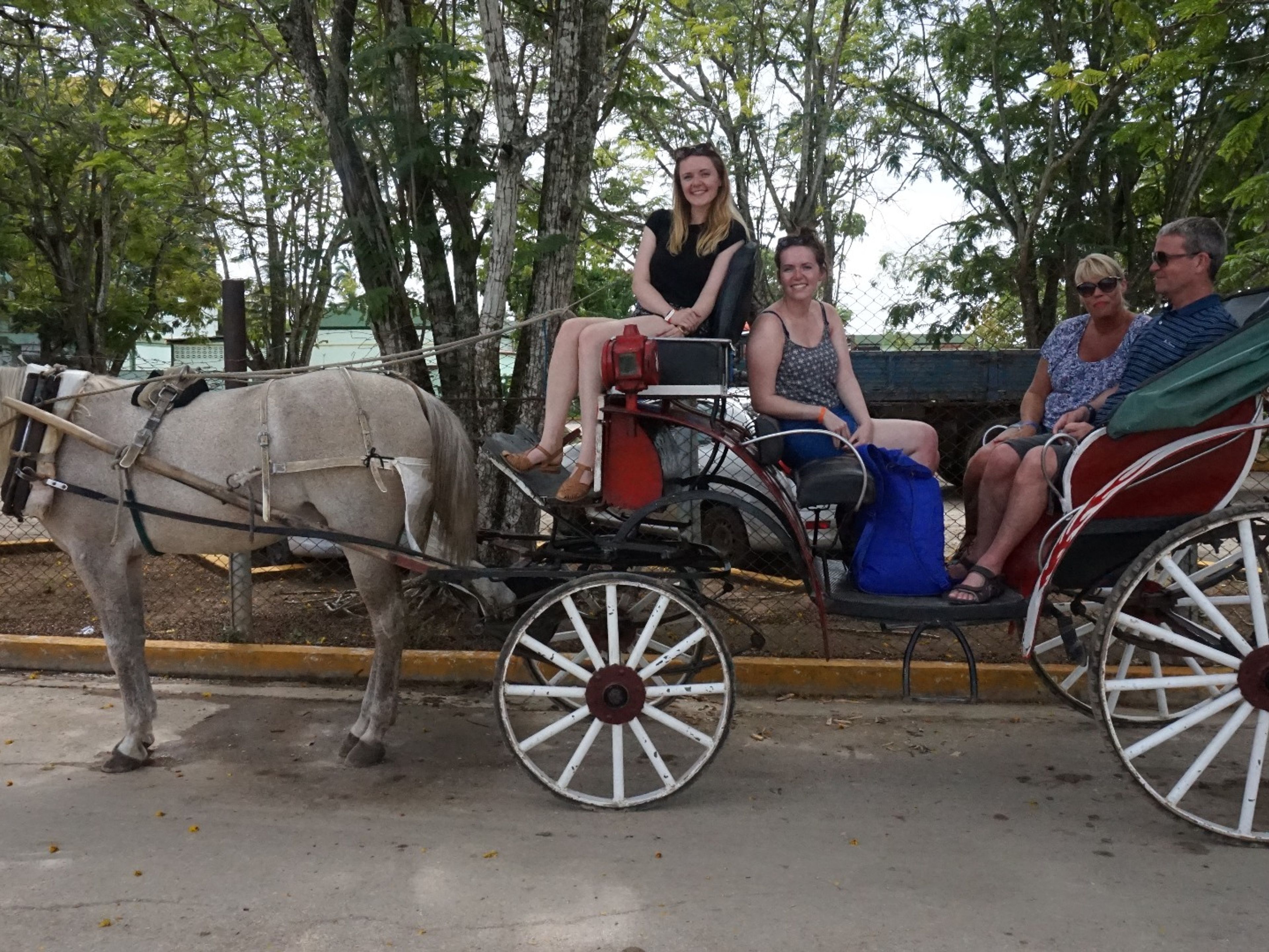 Excursión "NATURE TOUR". Canter by horse and cart through the streets of Morón, “Somos Cuba” Tour
