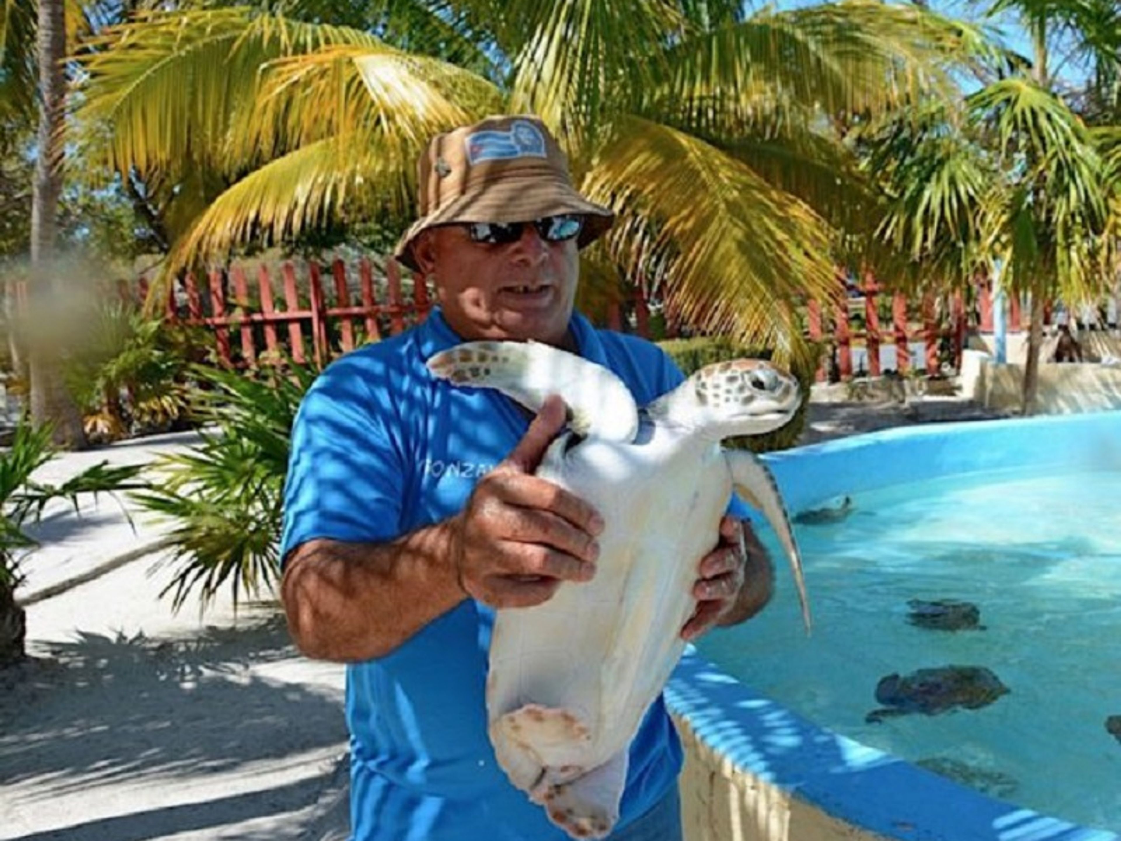 Tour "EINE KUBANISCHE ERFAHRUNG". The Granja de las Tortugas (Turtle Farm) and the Experimental Sea Turtle Breeding Centre, Cayo Largo del Sur, Cuba.