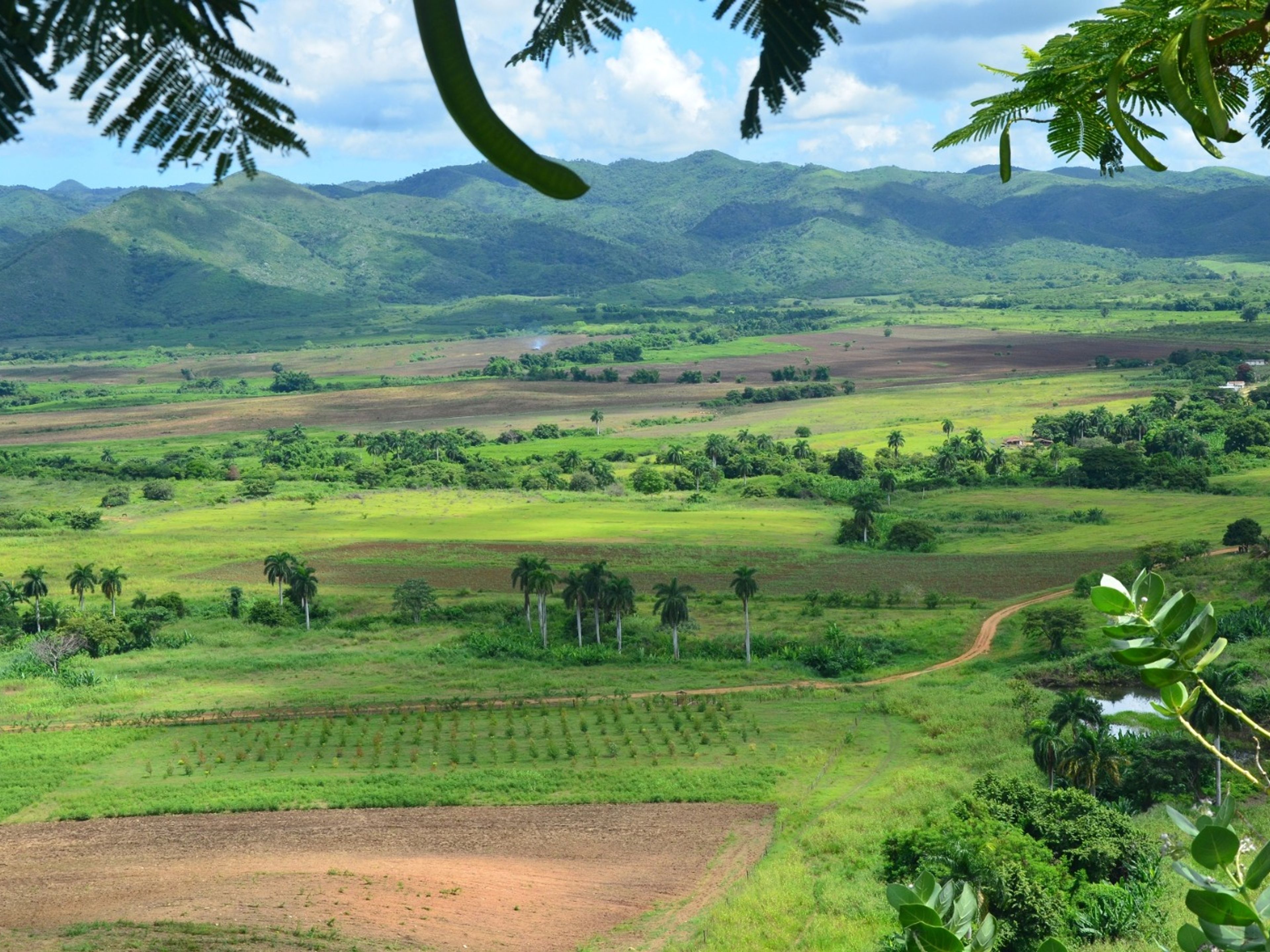 "Between Guarapos and Parranda" Tour. Valle de los Ingenios, Cuba