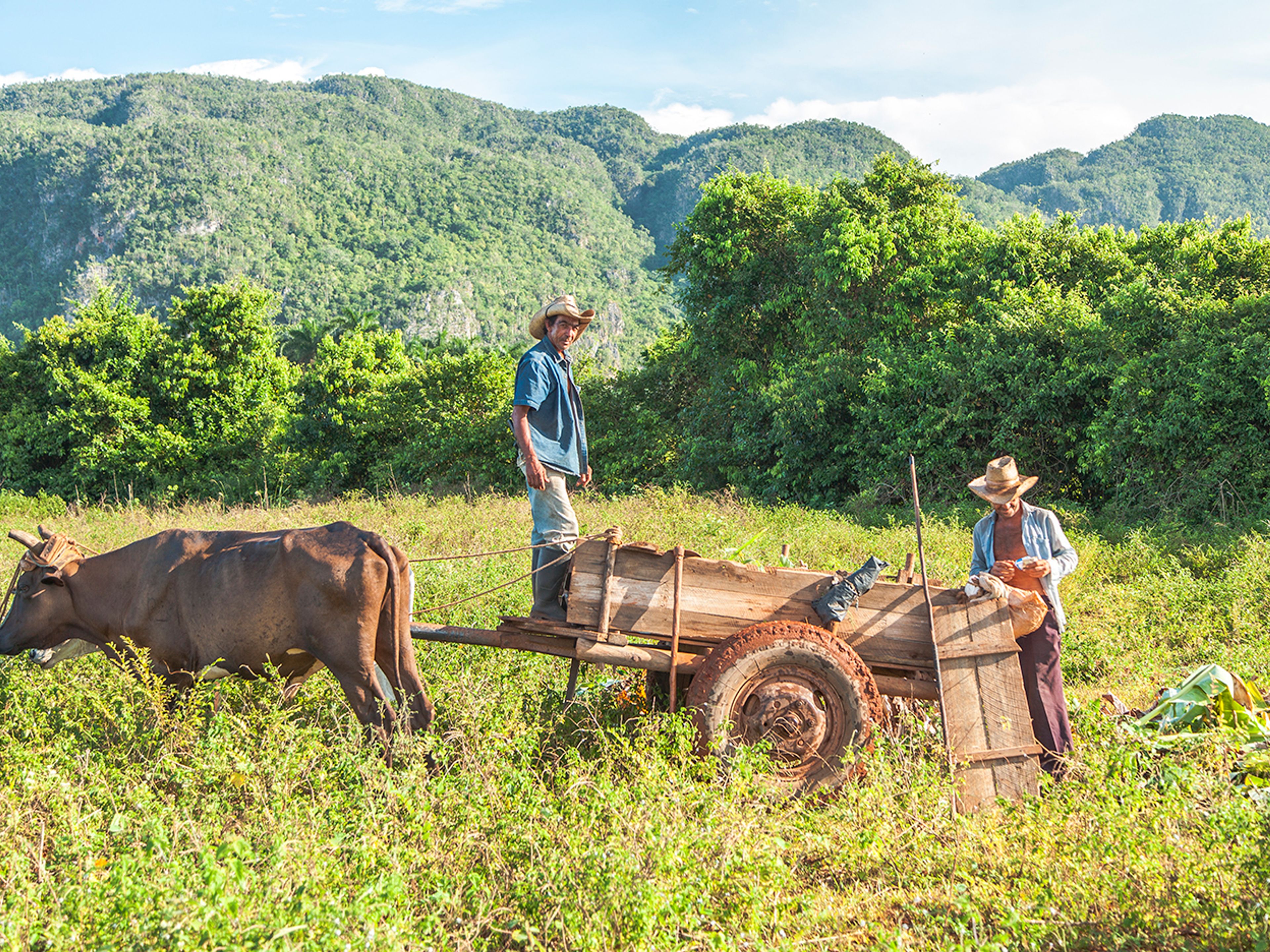 "Extreme Biking Tour in Cuba". Traditions and customs, Viñales valley National Park, Pinar del Río