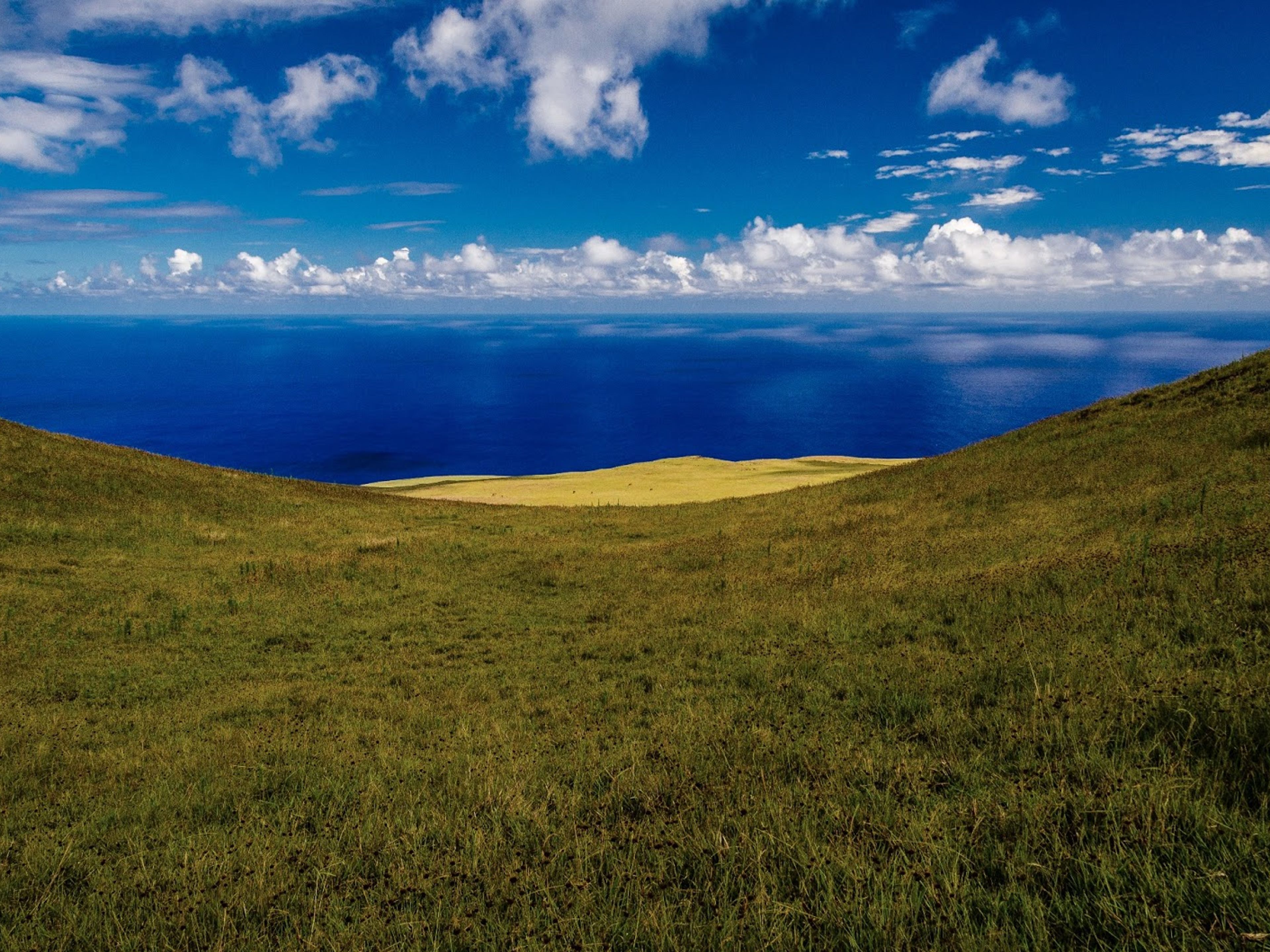 “TREKKING TO TEREVAKA” TOUR.. null