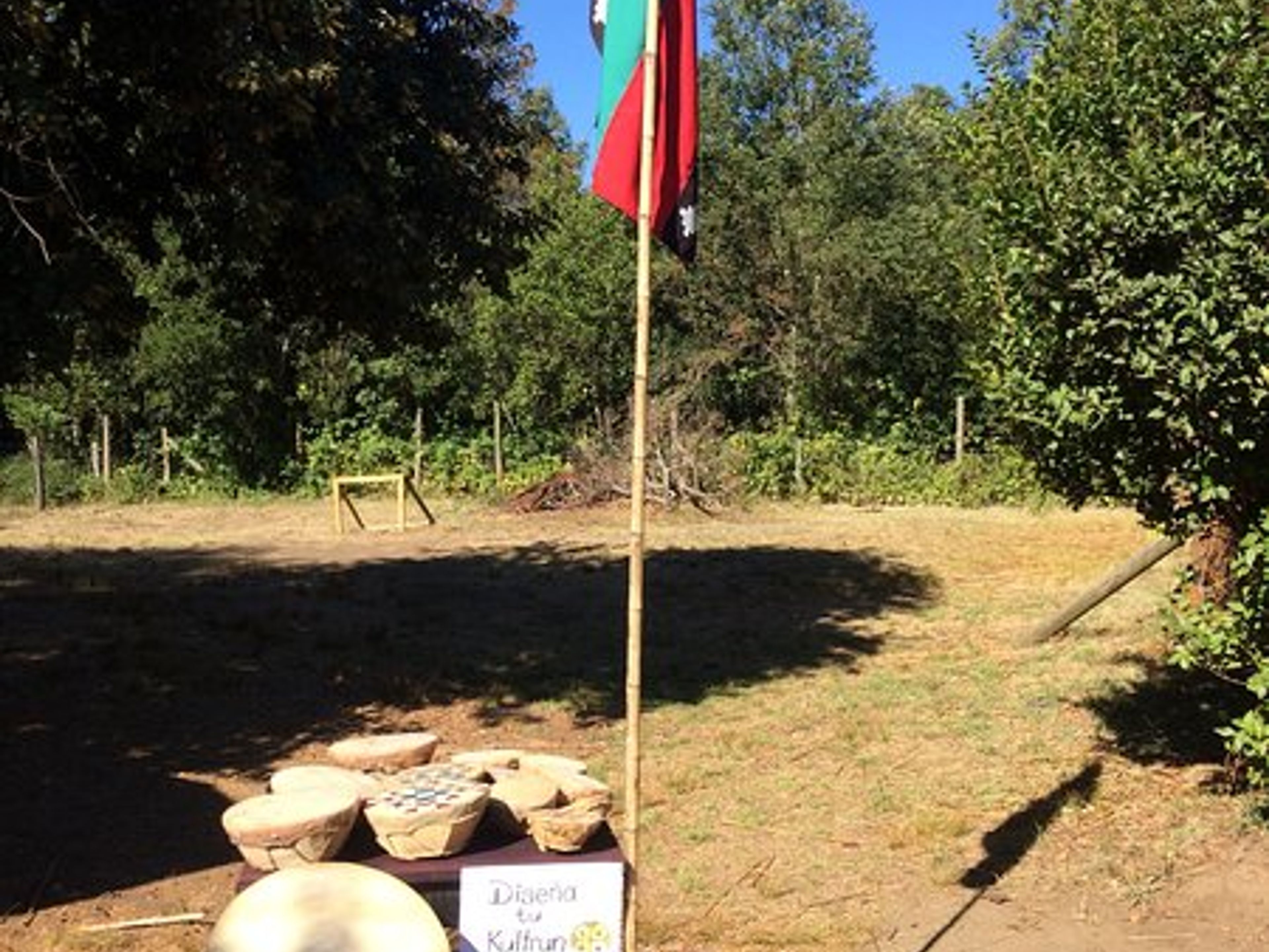 “MAPUCHE CULTURAL EXPERIENCE" Tour. null