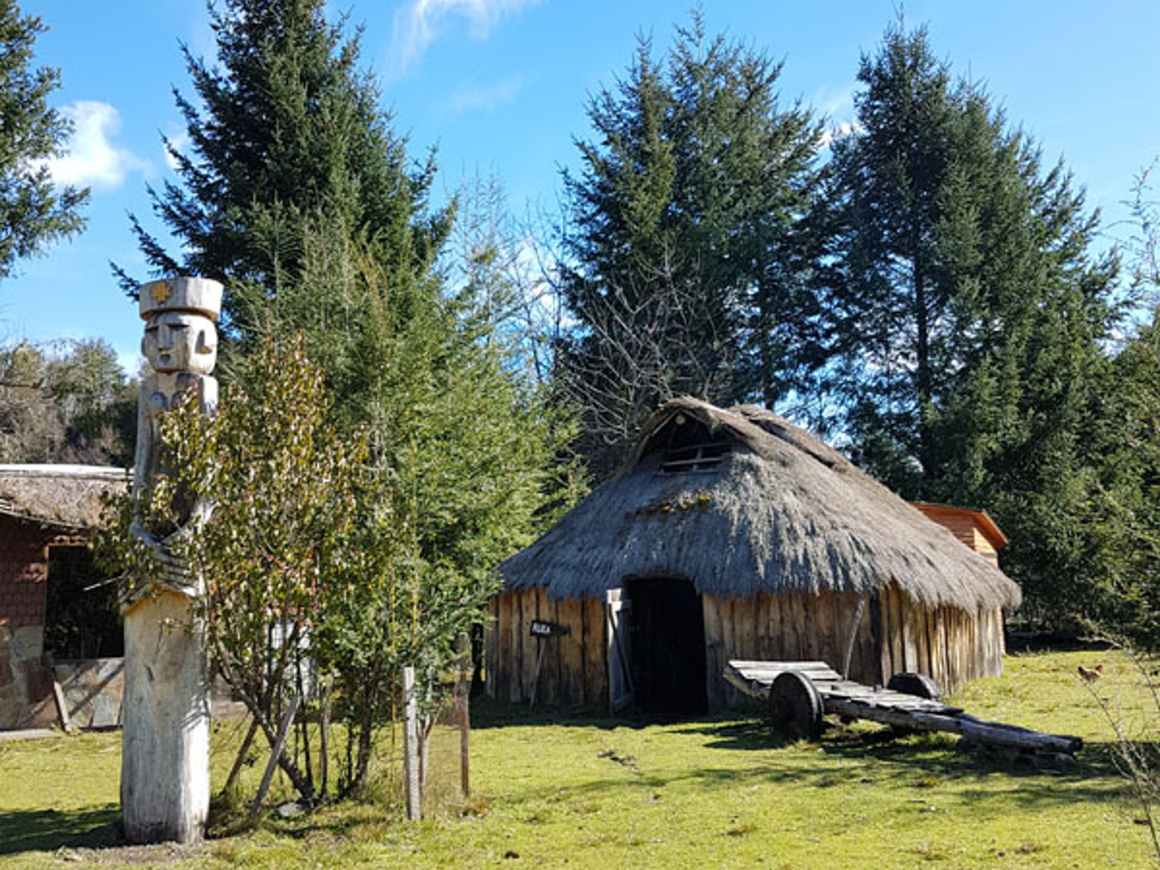 “MAPUCHE CULTURAL EXPERIENCE" Tour. null