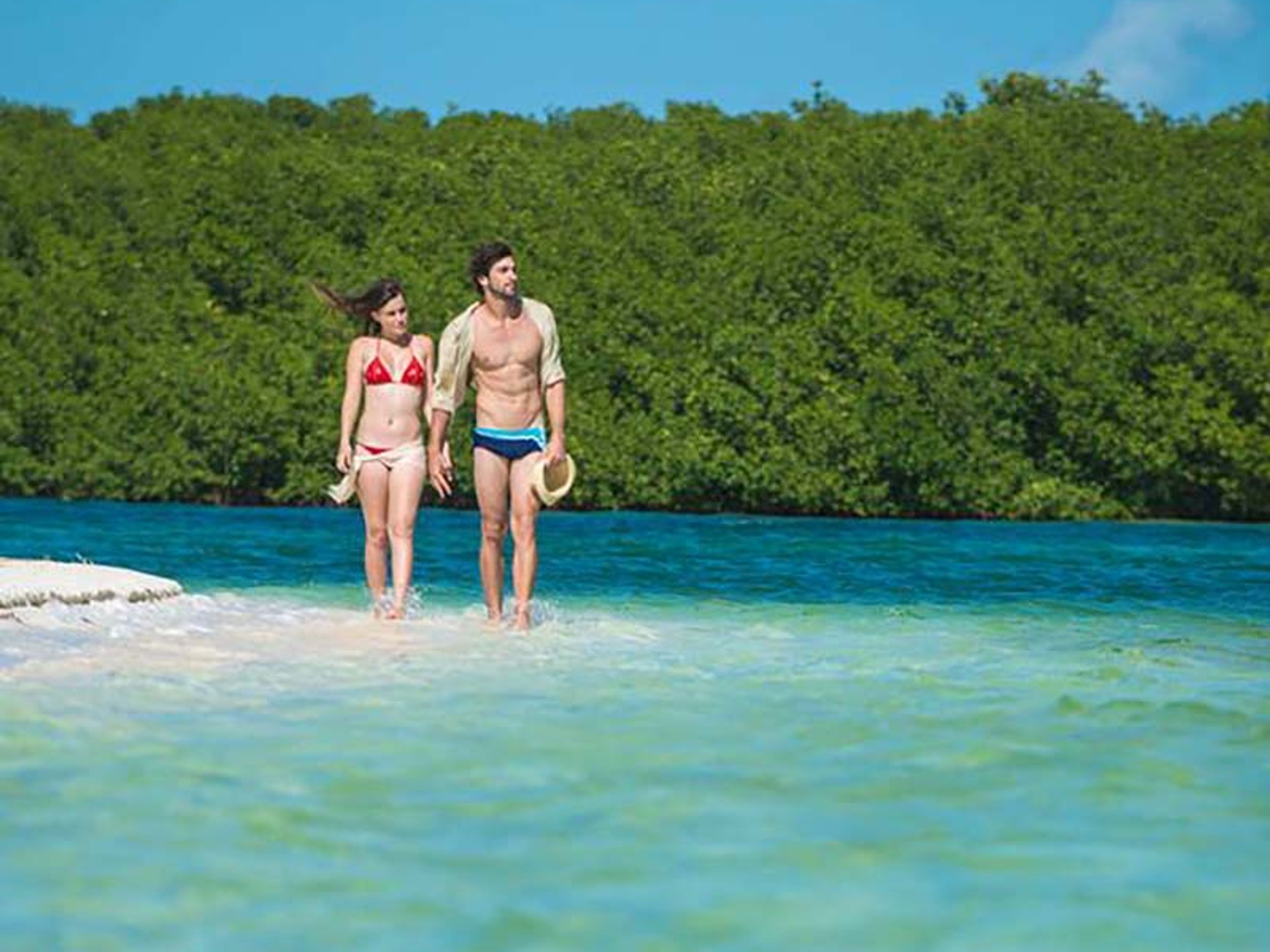 Tour "ISOLA PARADISO". null