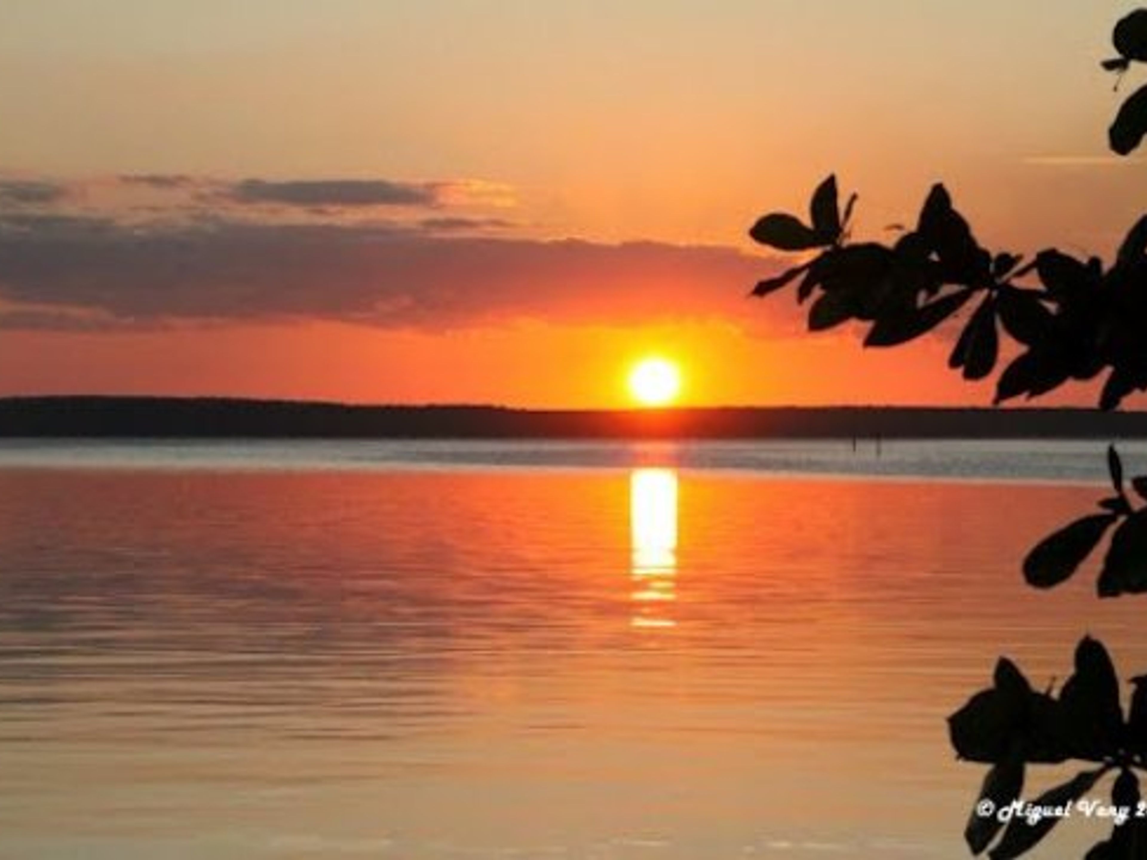 Сифари "ЗАКАТ ПЛЮС НА КАЙО ЛАРГО ДЕЛЬ СУР". Seafari "Cayo largo sunset"