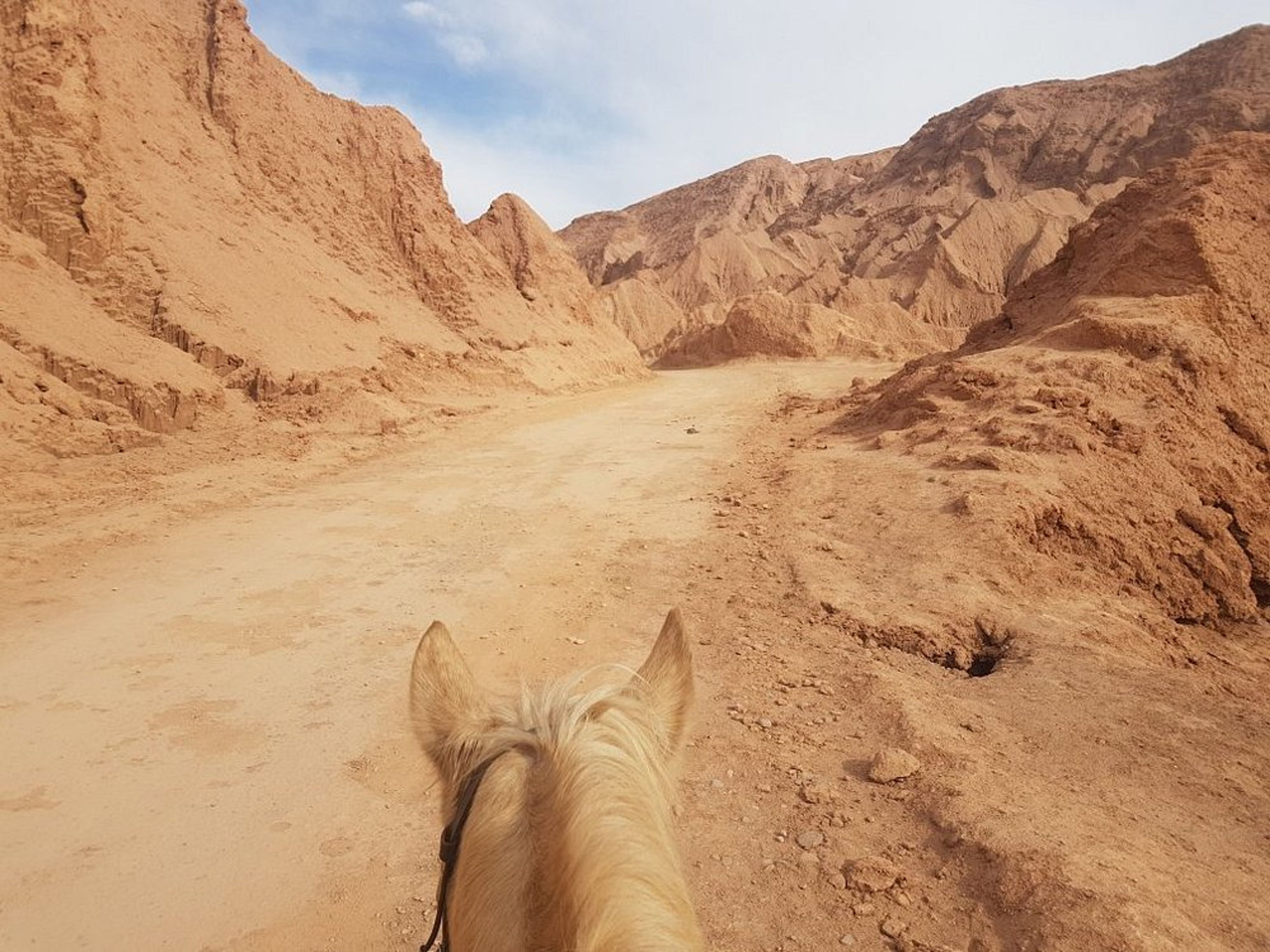 Tour PREMIUM "RANDONNÉE À CHEVAL À SAN PEDRO DE ATACAMA". "HORSEBACK RIDING IN SAN PEDRO DE ATACAMA" PREMIUM Tour, San Pedro de Atacama, Chile. 