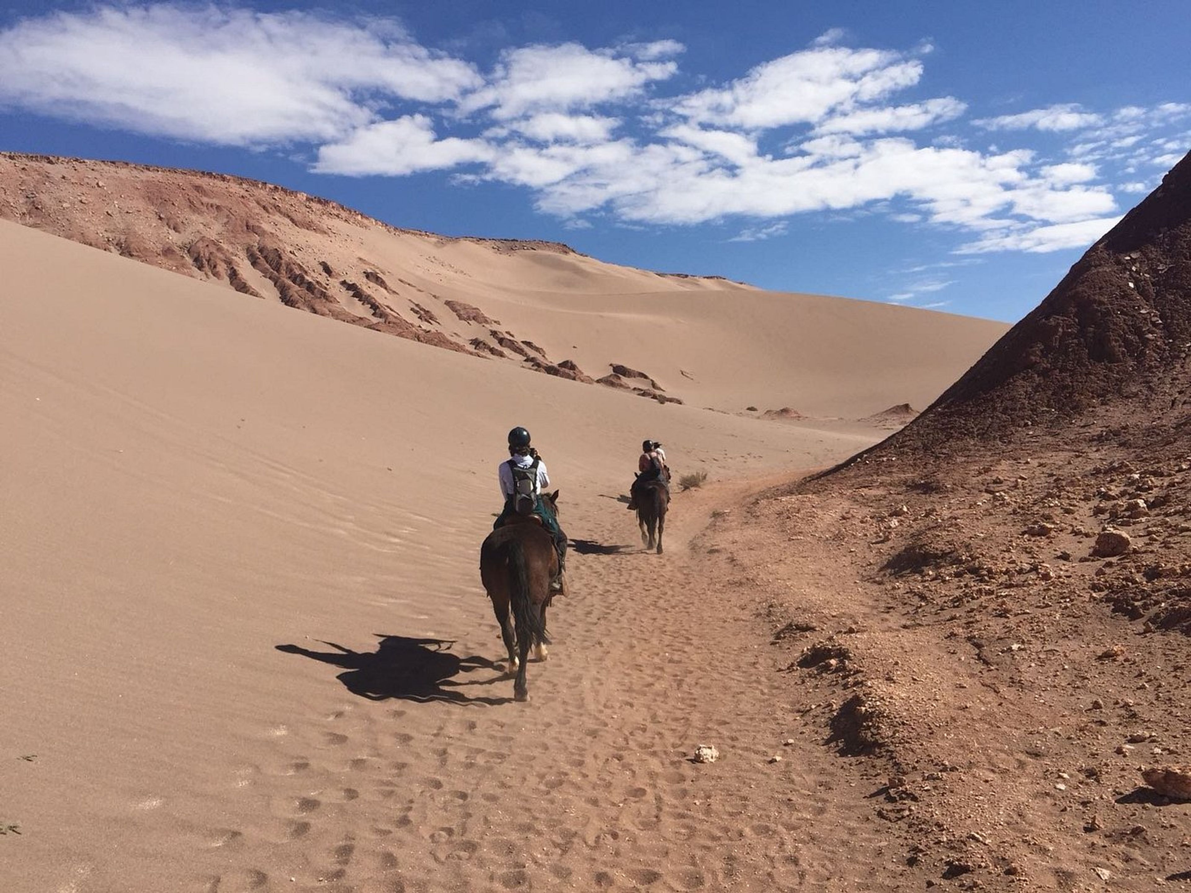 Tour PREMIUM "RANDONNÉE À CHEVAL À SAN PEDRO DE ATACAMA". "HORSEBACK RIDING IN SAN PEDRO DE ATACAMA" PREMIUM Tour, San Pedro de Atacama, Chile. 