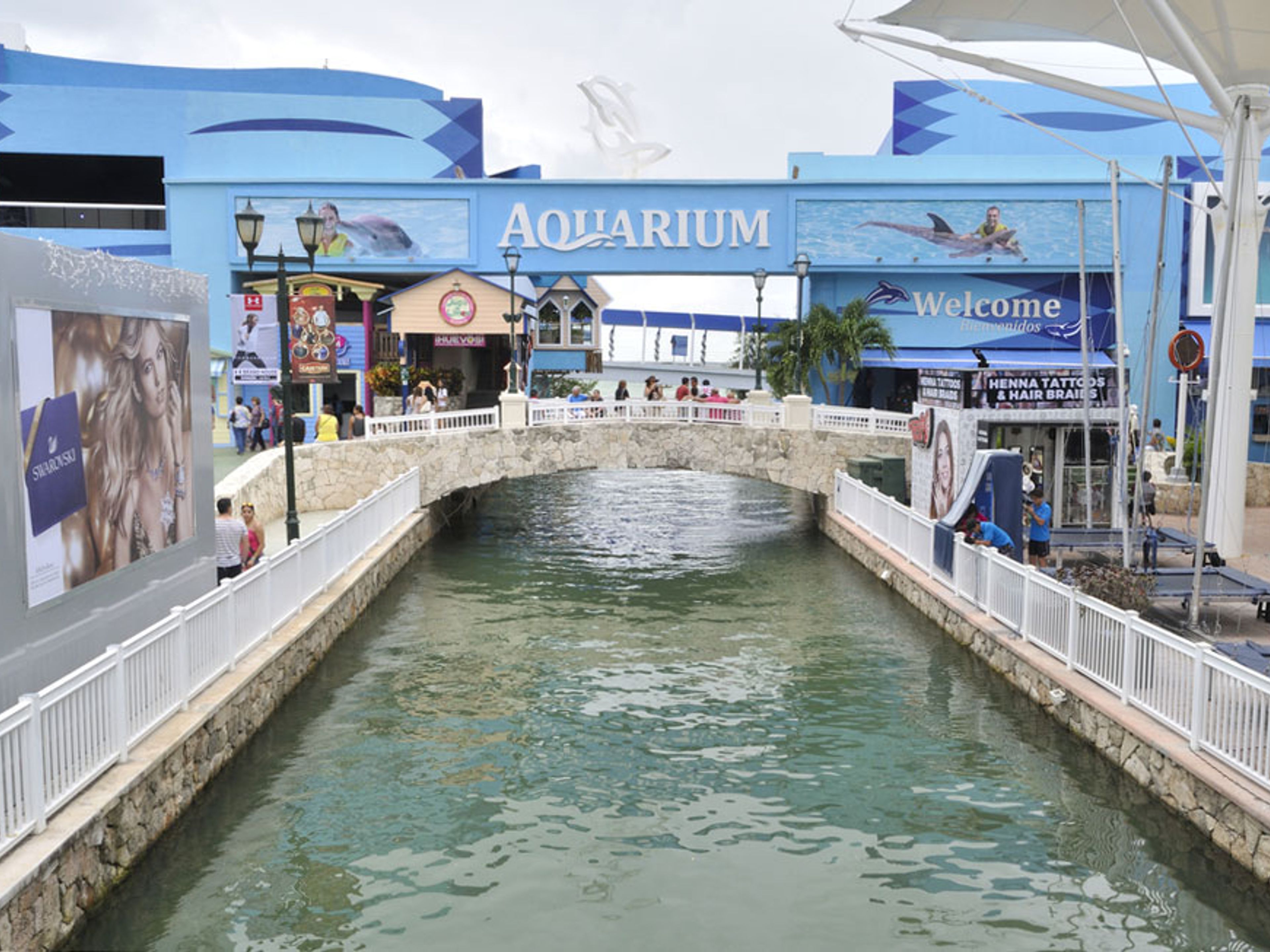 Tour "Primax Dolphins à Cancun". "Primax Dolphin in Cancún" Tour