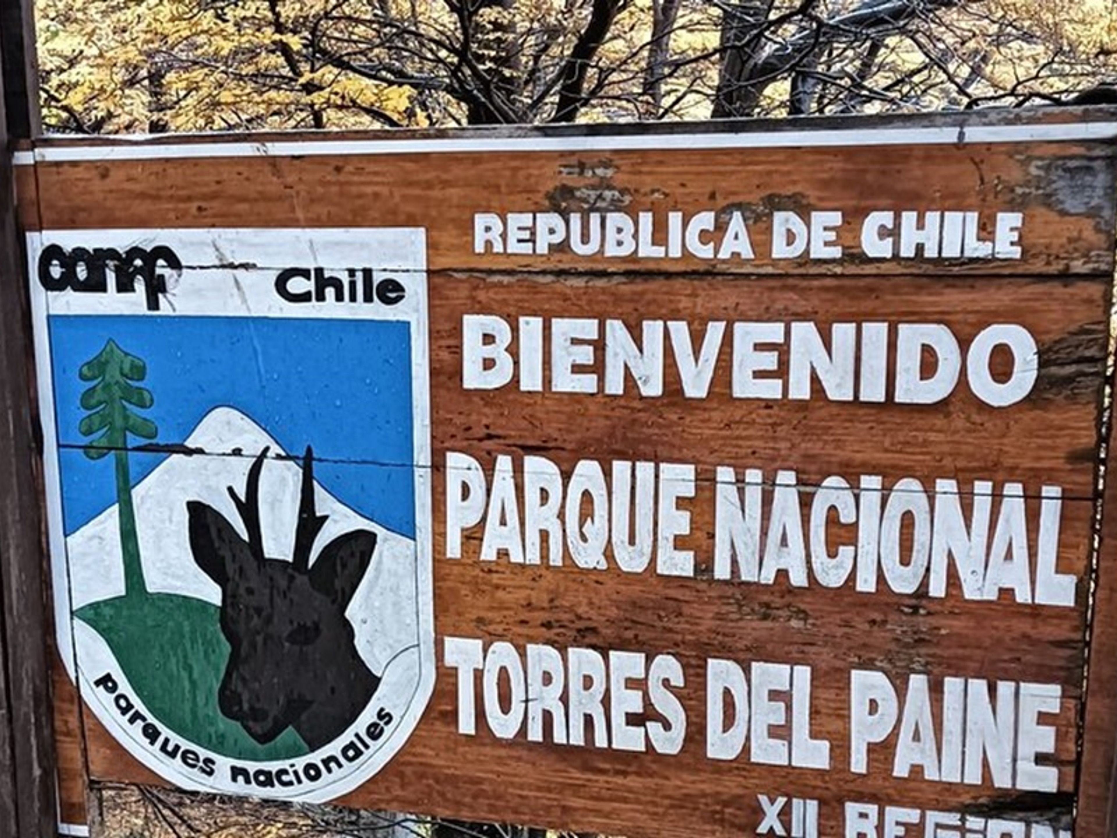 Tур "ТРЕККИНГА БАЗА ДЛЯ ТОРРЕС-ДЕЛЬ-ПАЙНЕ". “TREEKKING BASE TORRES DEL PAINE” Tour, Chile.