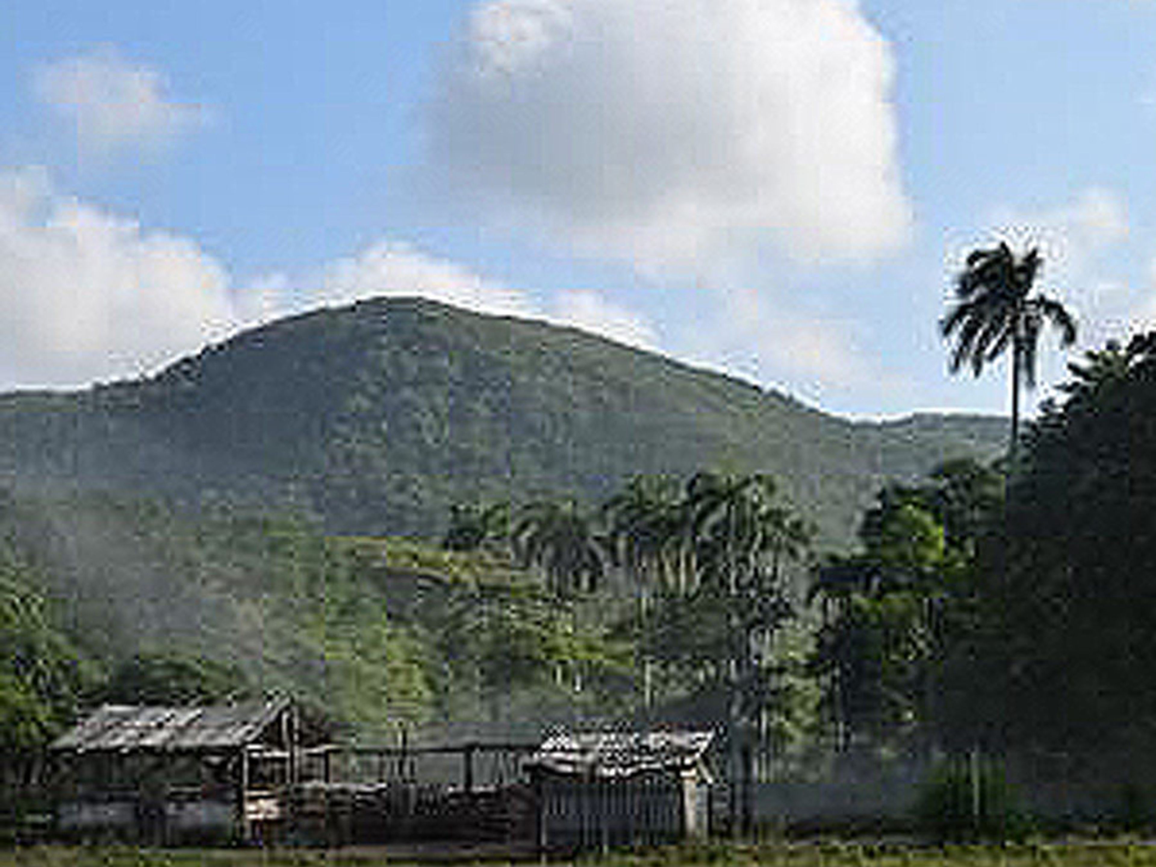 Excursão "OBSERVAÇÃO DE AVES NA RESERVA ECOLÓGICA LIMONES - TUABAQUEY, SIERRA DE CUBITAS". Reserva Ecológica Limones-Tuabaquey, Sierra de Cubitas, Camagüey, Cuba.