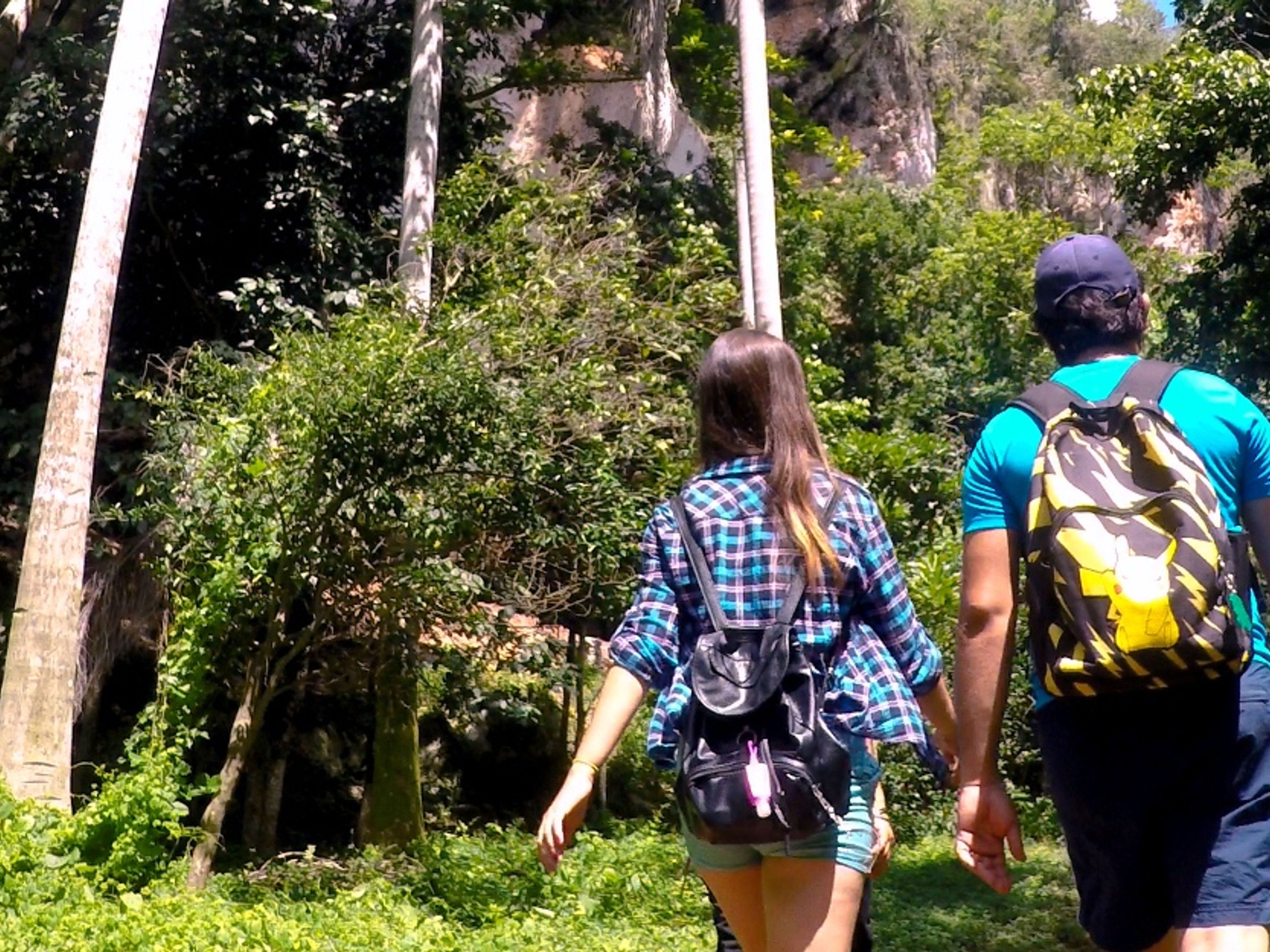 Excursão "OBSERVAÇÃO DE AVES NA RESERVA ECOLÓGICA LIMONES - TUABAQUEY, SIERRA DE CUBITAS". Reserva Ecológica Limones-Tuabaquey, Sierra de Cubitas, Camagüey, Cuba.